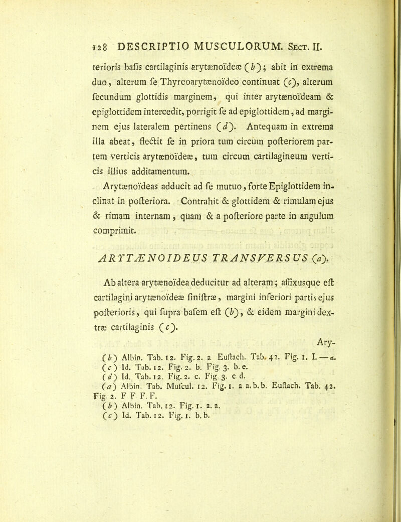 terioris bafis cartilaginis arytenoideae abit in extrema duo, alterum fe Thyreoarytenoideo continuat (V), alterum fecundum glottidis marginem? qui inter arytenoideam & epiglottidem intercedit, porrigit fe ad epiglotddem, ad margi- nem ejus lateralem pertinens (d). Antequam in extrema illa abeat, fle&it fe in priora tum circum pofteriorem par- tem verticis arytenoidee, tum circum cartilagineum verti- cis illius additamentum. Arytenoideas adducit ad fe mutuo, forte Epiglottidem in- clinat in pofteriora. Contrahit & glottidem & rimulam ejus & rimam internam , quam & a polteriore parte in angulum comprimit. ARTTjENOIDEUS TRANSFERSUS Ca). Ab altera arytenoidea deducitur ad alteram; aflixusque effc cartilagini arytenoidee finiftre, margini inferiori partis ejus poflerioris, qui fupra bafem eft , & eidem margini dex- tre cartilaginis (c). Ary- (&) Albin. Tab. 12. Fig.2. a Euftach. Tab. 42. Fig. r. I.—a. (c) ld. Tab. 12. Fig.2. b. Fig. 3. b. e. (d) Id. Tab. 12. Fig.2. c. Fig 3. c d. (a) Albin. Tab. Mufcul. 12. Fig. 1. a a.b.b. Euflach. Tab. 42. Fig 2. F F F. F. ( b ) Albin. Tab. 12. Fig. 1. a. a. Qcj Id. Tab. 12. Fig. 1. b. b.