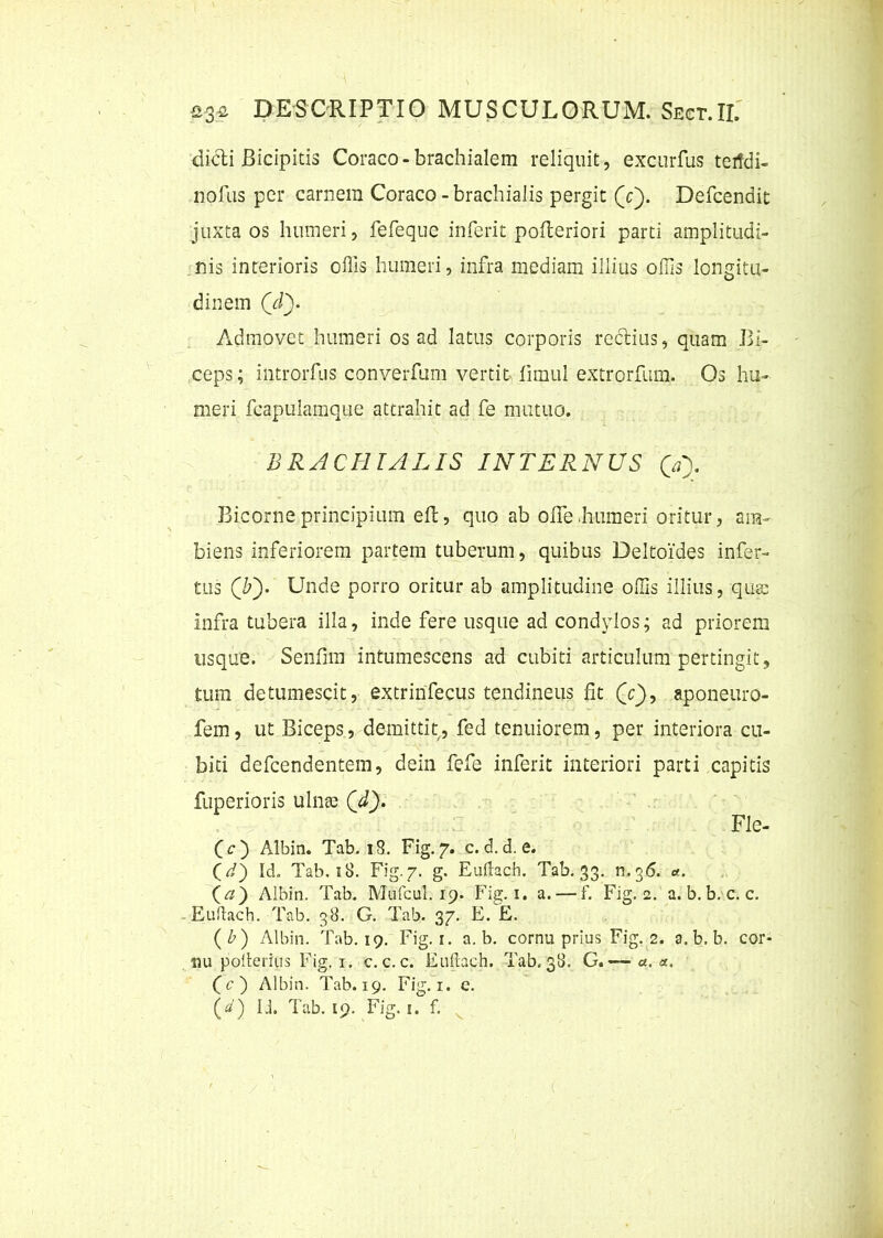 didi Bicipitis Coraco-brachialem reliquit, excurfus terfdi- nofus per carnem Coraco-brachialis pergit (c). Defcendit juxta os humeri, fefeque inierit pofleriori parti amplitudi- nis interioris offis humeri, infra mediam illius offis longitu- dinem (d)* Admovet humeri os ad latus corporis rectius, quam Bi- ceps; introrfus converfum vertit iimul extrorfum. Os hu- meri fcapulamque attrahit ad fe mutuo. BRACHIALIS INTERNUS (V). Bicorne principium eft, quo ab offe humeri oritur, am- biens inferiorem partem tuberum, quibus Deltoides infer- tus (IT). Unde porro oritur ab amplitudine offis illius, quas infra tubera illa, inde fere usque ad condylos; ad priorem usque. Senfim intumescens ad cubiti articulum pertingit, tum detumescit, extrinfecus tendineus fit (V), aponeuro- fem, ut Biceps, demittit, fed tenuiorem, per interiora cu- biti defcendentem, dein fefe inferie interiori parti capitis fuperioris ulnae (d). Fle- (c) Albin. Tab. iS. Fig.7. c. d.d. e. (d) Id. Tab. 18. Fig. 7. g. Euftach. Tab. 33. n.36. <*. (a ) Albin. Tab. Mufcul. 19. Fig. 1. a. — f. Fig. 2. a. b. b. c. c. Eudach. Tab. 38. G. Tab. 37. E. E. ( Z>) Albin. Tab. 19. Fig. f. a. b. cornu prius Fig. 2. 9. b. b. cor- nu polterius Fig. 1. c. c.c. Eullach. Tab. 38. G. — a. a. Cc ) Albin. Tab. 19. Fig. 1. c.