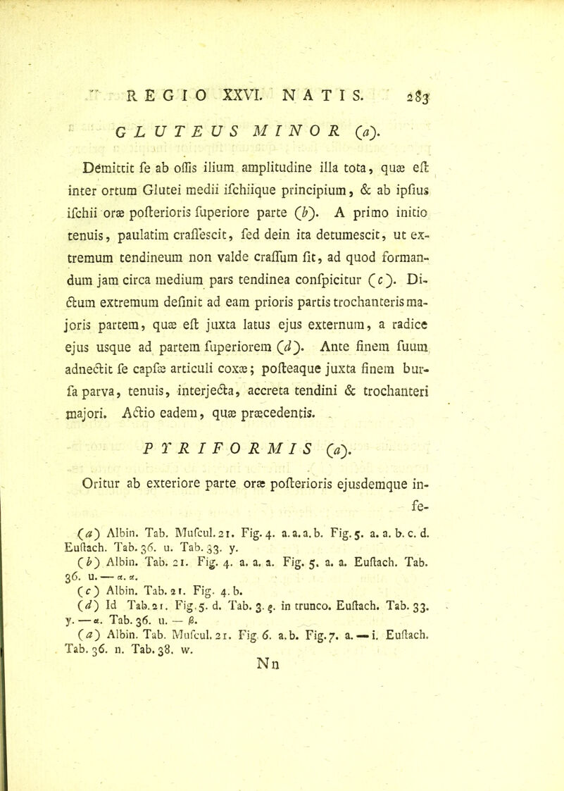 GLUTEUS MINOR (» Demittit fe ab offis ilium amplitudine illa tota, quas ell inter ortum Glutei medii ifchiique principium, & ab ipfius ifchii oras poflerioris fuperiore parte (F). A primo initio tenuis, paulatim craflescit, fed dein ita detumescit, ut ex- tremum tendineum non valde craflum fit, ad quod forman- dum jam circa medium pars tendinea confpicitur Qc'). Di- dium extremum definit ad eam prioris partis trochanteris ma- joris partem, quas effc juxta latus ejus externum, a radice ejus usque ad partem fuperiorem (/i). Ante finem fuum adneclit fe capfas articuli coxas; pofleaque juxta finem bur- fa parva, tenuis, interjedla, accreta tendini & trochanteri majori. Adtio eadem, quae praecedentis. P Y R I F O R M I S (V). Oritur ab exteriore parte oras poflerioris ejusdemque in- fe- Albin. Tab. Mufcul.21. Fig. 4. a.a.a.b. Fig.5. a. a. b. c. d. Euflach. Tab. 36. u. Tab. 33. y. (£) Albin. Tab. 21. Fig. 4. a. a. a. Fig. 5. a. a. Euflach. Tab. 36. U. a. «. (c) Albin. Tab. 21. Fig. 4_b. (</) Id Tab.21. Fig.5. d. Tab. 3. 5. in trunco. Euflach. Tab. 33. y. —a. Tab. 36. u. — 18. (t?) Albin. Tab. Mufcul.21. Fig <5. a.b. Fig.7. a. —i. Euflach. Tab. 36. n. Tab. 38. w. Nn