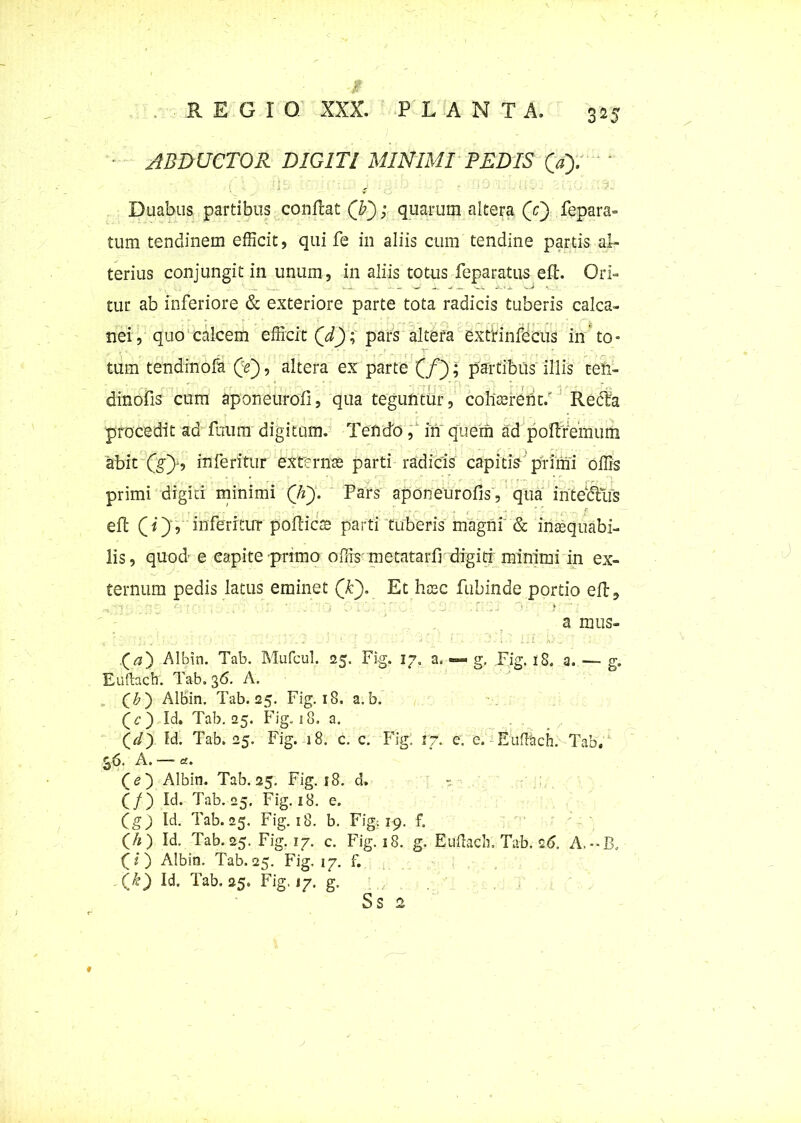 / REGI 0 XXX. PLANTA. 325 ABDUCTOR DIGITI MINIMI PEDIS 0). Duabus partibus conflat (V); quarum altera (c) fepara» tum tendinem efficit, qui fe in aliis cum tendine partis al- terius conjungit in unum, in aliis totus feparatus eft. Ori- tur ab inferiore & exteriore parte tota radicis tuberis calca- nei, quo calcem efficit (d); pars altera extrinfecus in to- tum tendinofa Qe), altera ex parte (/); partibus illis ten- dinofis cum aponeurofi, qua teguntur, cohaerent; Redta procedit ad furum digitum. Tendo, in quem ad poflVemum abit (g)-, inferitur ex ter nas parti radicis capitis primi offis primi digiti minimi Qi). Pars aponeurofis, qua in te dius eft CO’ infetilirr pollicse parti tuberis magni & inaequabi- lis, quod e eapite primo offis' metatarfi digiti minimi in ex- ternum pedis latus eminet (T). Et htec fubinde portio eft, a mus» (^) Albin. Tab. Mufcul. 25. Fig. 17. a, •—» g. Fig. 18. 3. —- g. Euftach. Tab. 36. A. Qb') Albin. Tab. 25. Fig. 18. a.b. (c) Id. Tab. 25. Fig. 18. a. (d) Id. Tab. 25. Fig. 18. c. c. Fig. 17. e. c. Eufttich. Tab. 36. A. —- a. ( e ) Albin. Tab. 25. Fig. 18. d. - f/) Id. Tab. 25. Fig. 18. e. Id. Tab. 25. Fig. 18. b. Fig: 19. f. (A) Id. Tab.25. Fig. 17. c. Fig. 18. g. Euftach. Tab. 26. (i) Albin. Tab. 25. Fig. 17. f. (£) Id Tab. 25. Fig. 17. g. Ss 2