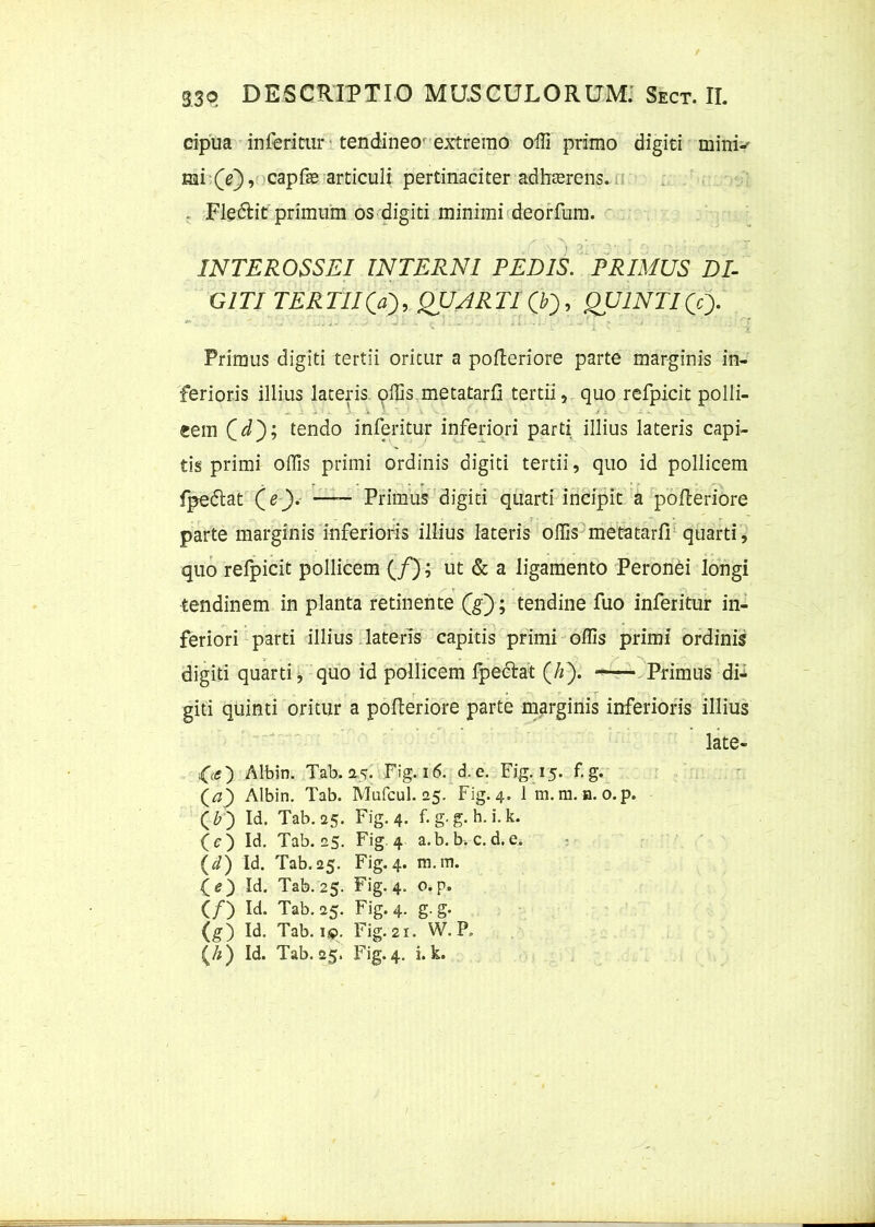 cipua inferitur tendineo extremo offi primo digiti mini-' mi (e), capfae articuli pertinaciter adhaerens. . Fledtit primum os digiti minimi deorfum. / • 2 fi 0 : >: : INTEROSSEI INTERNI PEDIS. PRIMUS DI- GITI TERTIIQa), QUARTI (T), QUINTI(Y). Primus digiti tertii oritur a pofteriore parte marginis in- ferioris illius lateris offis metatarfl tertii, quo refpicit polii- * j L i i. ■ .1 ' * * /i v..1' eem ( d); tendo inferitur inferiori parti illius lateris capi- tis primi offis primi ordinis digiti tertii, quo id pollicem fpedtat (e)' —~ Primus digiti quarti incipit a pofteriore parte marginis inferioris illius lateris offis metatarfl quarti, quo refpicit pollicem (/); ut & a ligamento Peronei longi tendinem in planta retinente QQ; tendine fuo inferitur in- feriori parti illius lateris capitis primi offis primi ordinis digiti quarti, quo id pollicem fpedtat (//). Primus di- giti quinti oritur a pofteriore parte marginis inferioris illius late- bar) Albin. Tab. 25. Fig. 16. d.e. Fig. 15. f.g. (^) Albin. Tab. Mufcul. 25. Fig. 4. 1 m. m. h. o.p. (b ) Id. Tab. 25. Fig. 4. f.g.g.h.i.k. O) Id. Tab. 25. Fig 4 a.b. b. c. d.e. (cl) Id. Tab. 25. Fig. 4. m.m. fe) Id. Tab. 25. Fig. 4. o.p. (/) Id. Tab. 25. Fig. 4. g. g. (g) Id. Tab. 1,9. Fig. 21. W. P.