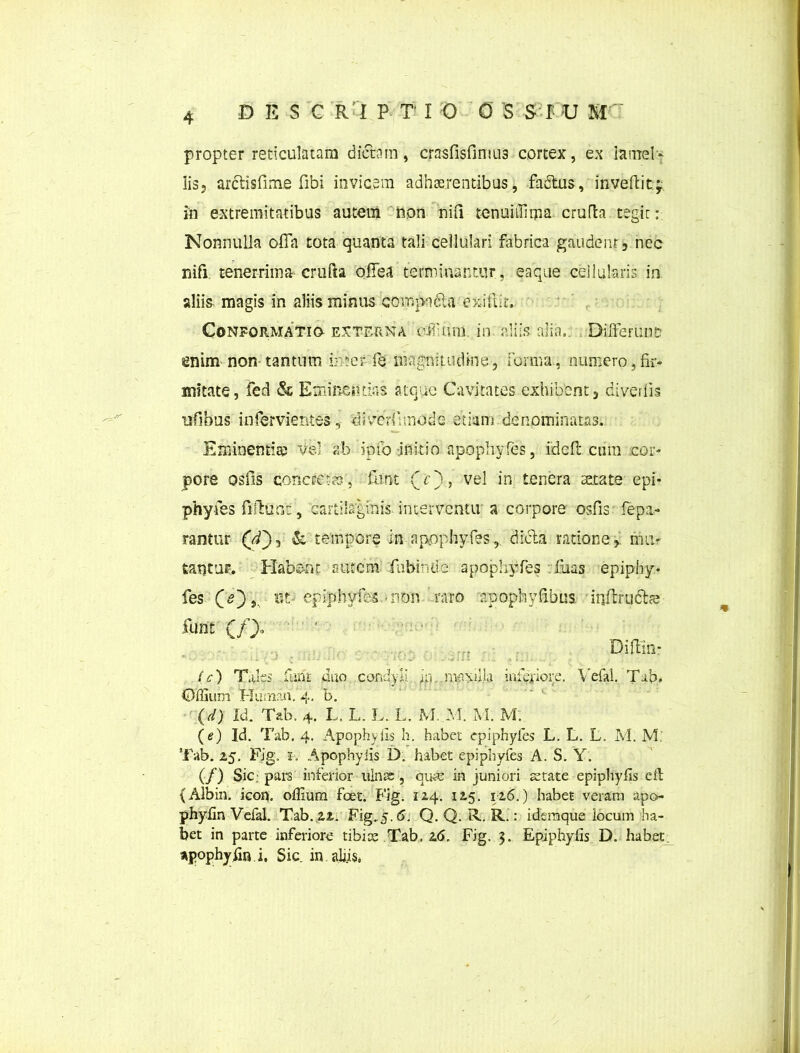 DESG R I P T I 0 0 S S! U M propter reticulatam dictam, crnsfisfimus cortex, ex lamel- lis, arctisfime fibi invicem adhaerentibus, fadtus, invertitji in extremitatibus autem non nifi tenuiffma crufla tegit:-. Nonnulla offa tota quanta tali cellulari fabrica gaudent, nec ni fi tenerrima crufta offea terminantur, eaque cellularis in aliis, magis in aliis minus comjwdta exifiic. Conformatio externa offam in. aliis alia.. Differunt enim non-tantum inter- fe magnitudine, forma., numero,fir- mitate, fed & Eminentias atque Cavitates exhibent, diverlis ufibus infervientes, «Jiverfhnode etiam denominatas. Eminentis vel ab i pio -initio apophyfes, fideft. cum cor- pore osiis concretes, ftlnt (e), vel in tenera aetate epi- phyfes fidunt, cartilaginis interventu a corpore osfis fe pa- rantur (d'), & tempore in apophyfesdicta ratione,, mu- tantur. Habent atitem' fubinUc apophyfes Cias epiphy- fes COj, Ut- epiphyfes.-non raro apophvfibus inflrudhe funt (/), ... Dirtln- (c) Tales funt duo condyli 41 inferiore. Vefal. Tab* Offium Plumali. 4. b. (d) Id. Tab. 4. L. L. L. L. M. M. M. M. (e) Id. Tab. 4. Apophyiis h. habet epiphy fes L. L. L. M. M' Tab. 25. Fig. 1, Apophyiis D. habet epiphyfes A. S. Y. (/) Sic,- pars inferior ulnre, quae in juniori state epiphy fis cfl (Albin. icon, offium foet. Fig. 124. 125. 126.) habet veram apo- phyfin Vefal. Tab..22. Fig.5.6. Q. Q. R. R. : idemque locum ha- bet in parte inferiore tibiae Tab. 2(5. Fig. 5. Epiphyfls D. habet, apophyiin i, Sic. in.aliis*