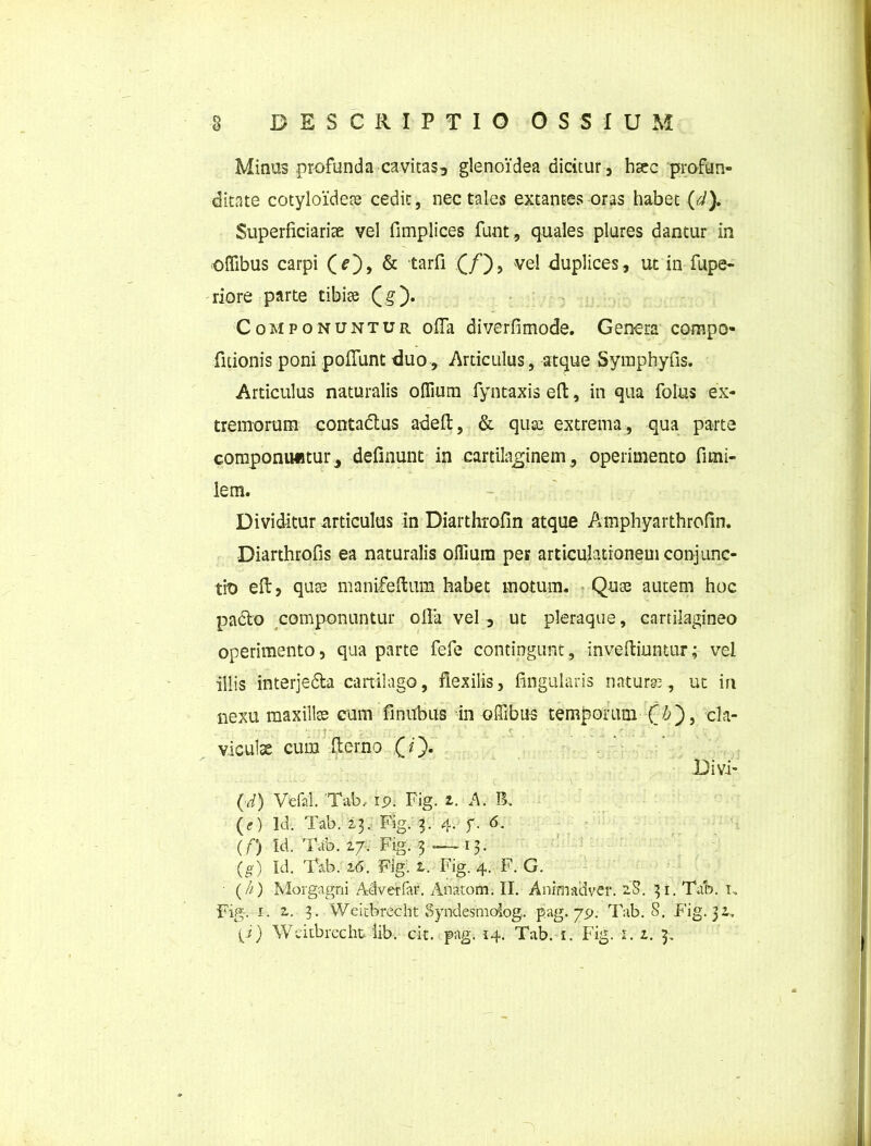 Minus profunda cavitas, glenoidea dicitur, haec profun- ditate cotyloideae cedit, nec tales excantes oras habet (d). Superficiariae vel fimplices funt, quales plures dantur in offibus carpi (0> & tarfi (/), vel duplices, ut in fupe- riore parte tibiae (g). Componuntur ofia diverfimode. Genera compo- fitionis poni poliunt duo. Articulus, atque Syraphyfis. Articulus naturalis offium fyntaxis efi:, in qua folus ex- tremorum conta&us adelt, & quas extrema, qua parte componuntur, delinunt in cartilaginem, operimento fimi- lem. Dividitur articulus in Diarthrofin atque Amphyarthrofin. Diarthrofis ea naturalis olfium per articulationem conjunc- tio elt, quas manifeftum habet motum. Quae autem hoc padlo componuntur ofia vel, ut pleraque, cartilagineo operimento, qua parte fefe contingunt, inveftiuntur; vel illis interje&a cartilago, flexilis, lingularis naturas, ut in nexu maxillae cum finubus in ofilbus temporum Q&), cla- • • - * -i- :r ; . .. \ c ■ \ ^  ;; ’ viculse cum Remo (T). Divi* - ■ - * - \ , - • ; • ' ' \ ■ • ■ - . / (<•/) Vefal. Tab, ip. Fig. i. A. B. {e) Id. Tab. 23. Fig. 3. 4. f. 6. (/) Id. Tab. 27. Fig. 3 .— 13. (g) Id. Tab. 26. Fig. t. Fig. 4. F. G. (/0 Morgagni Ad ver far. Anatom. II. Animadver. 2S. 31. Tab. 1, Fig. i. 2,. 3. Weiibrecht Syndesmolog. pag. 79. Tab. S. Fig. 32,