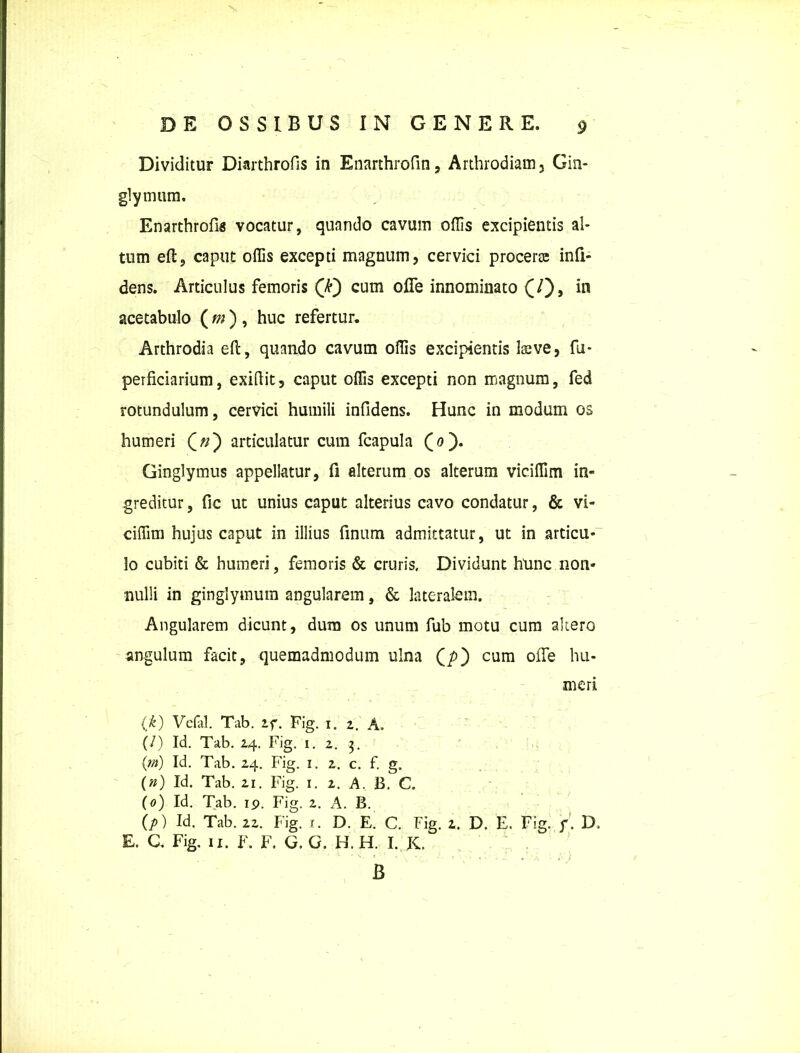 Dividitur Diarthrofis in Enarthrofin, Arthrodiam, Gin- glymum. Enarthrofin vocatur, quando cavum offis excipientis al- tum eft, caput offis excepti magnum, cervici procerte infi- dens. Articulus femoris (T) cum ofle innominato (7), in acetabulo ( m ) , huc refertur. Arthrodia efl:, quando cavum offis excipientis Isave, fii- perficiarium, exiftit, caput offis excepti non magnum, fed rotundulum, cervici humili infidens. Hunc in modum os humeri (>;) articulatur cum fcapula (0). Ginglymus appellatur, fi alterum os alterum viciffim in- greditur , fic ut unius caput alterius cavo condatur, & vi- ciffim hujus caput in illius finum admittatur, ut in articu- lo cubiti & humeri, femoris & cruris. Dividunt hunc non- nulli in ginglymum angularem, & lateralem. Angularem dicunt, dum os unum fub motu cum altero angulum facit, quemadmodum ulna (/>) cum olfe hu- meri (k) Vefal. Tab. if. Fig. i. 2. A. (/) Id. Tab. 24. Fig. 1. 2. 3. {m) Id. Tab. 24. Fig. 1. 2. c. f. g. (») Id. Tab. 21. Fig. 1. 2. A. B. C. (0) Id. Tab. 19. Fig. 2. A. B. (/>) Id. Tab. 22. Fig. 1. D. E. C. Fig. 2. D. E. Fig. f. D, E. G Fig. 11. F. F. G. G. H. H. I. K. B