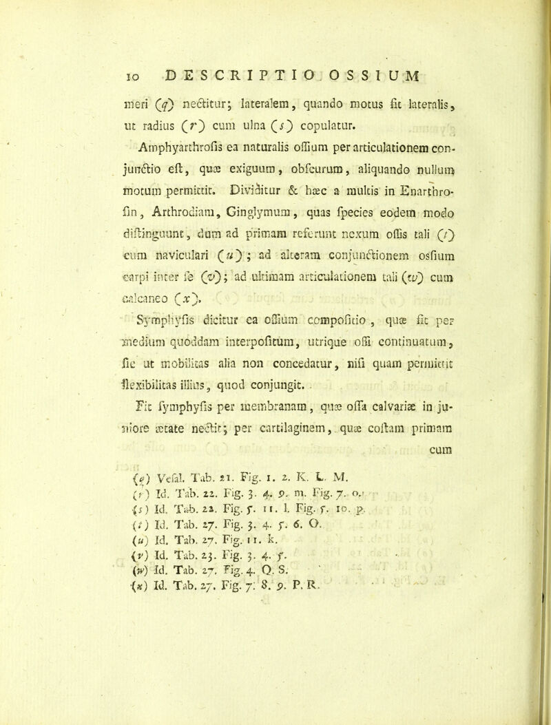 meri (y) ne&itur; lateralem, quando motus fit lateralis, ut radius (r) cum ulna (x) copulatur. Amphyarthrofis ea naturalis offium per articulationem con- jurrdtio effc, qu£ exiguum, obrcurum, aliquando nullum motum permittit. Dividitur & htec a multis in Enartbro- fin, Arthrodiam, Ginglymum, quas fpecies eodem modo diflinguunt, dum ad primam referunt nexum offis tali (/) cum naviculari (#); ad alteram conjundfionem osfium c-arpi inter fe (v); ad ultimam articulationem tali (tu) cum calcaneo (x), Symphyfis dicitur ea offium cempofitio , quse fit per medium quoddam interpofitum, utrique offi continuatum, fic ut mobilitas alia non concedatur, nifi quam permittit •flexibilitas illius, quod conjungit. Fit fymphyfis per membranam, quae offa calvariae in ju- niore tetate nectit; per cartilaginem, qus cofhm primam cum (j) Vefal. Tab. 21. Fig. 1. 2. K. L. M. (? ) Id. Tab. ii. Fig. 3. 4. 9. m. Fig. 7. o,- {s) Id. Tab. 11. Fig. f. 11. 1. Fig. f. 10. p. (t) Id. Tab. 27. Fig. 3. 4. f. 6. O. (a) Id. Tab. 27. Fig. 11. k. {■v) Id. Tab. 23. Fig. 3. 4. f. (w) Id. Tab. 27. Fig. 4. Q. S.