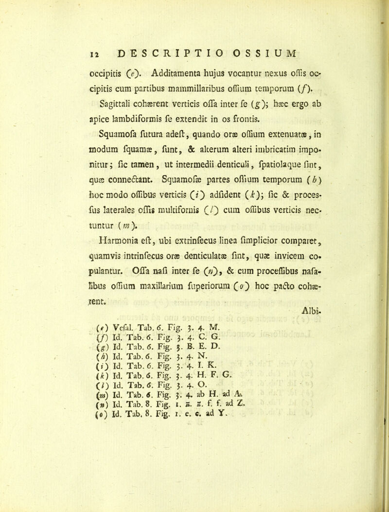 occipitis (e). Additamenta hujus vocantur nexus offis oc- cipitis cum partibus mammillaribus offium temporum (/). Sagittali cohserent verticis olla inter fe (g); hsec ergo ab apice lambdiformis fe extendit in os frontis. Squamofa futura adeft, quando orse offium extenuat®, in modum fquamse, funt, & alterum alteri imbricarim impo- nitur; fic tamen, ut intermedii denticuli, fpatiolaque fine, quss connedlant. Squamofse partes offium temporum (h) hoc modo offibus verticis (Q adfident (£); fic & proces- fus laterales offis multiforius £/} cum offibus verticis nec- tuntur (m), Harmonia eft, ubi extrinfecus linea fimplicior comparet, quamvis intrinfecus orse denticulatae fint, quae invicem co- pulantur. Offa nafi inter fe (V), & cum proceffibus nafa- libus offium maxillarium fuperiorum (0) hoc pa&o cohae- rent. Albi- (e) Vefal. Tab. 6. Fig. 3. 4. M, (/) Id. Tab. 6. FJg. 3. 4. C. G. (g) Id. Tab. 6. Fig. 3. B. E. D. (h) Id. Tab. 6. Fig. 3. 4- N. (O Id. Tab. 6. Fig. 3. 4. I. K. (k) Id. Tab. 6. Fig. 3. 4. H. F. G. (/) Id. Tab. 6. Fig. 3. 4. O. (ni) Id. Tab. 6. Fig. 3. 4. ab H. ad Ai (») Id. Tab. 8. Fig. 1. S. 2. f. f ad Z. (0) Id. Tab. 8. Fig. 2. e. c. ad Y, % jHjHj 5 * ■