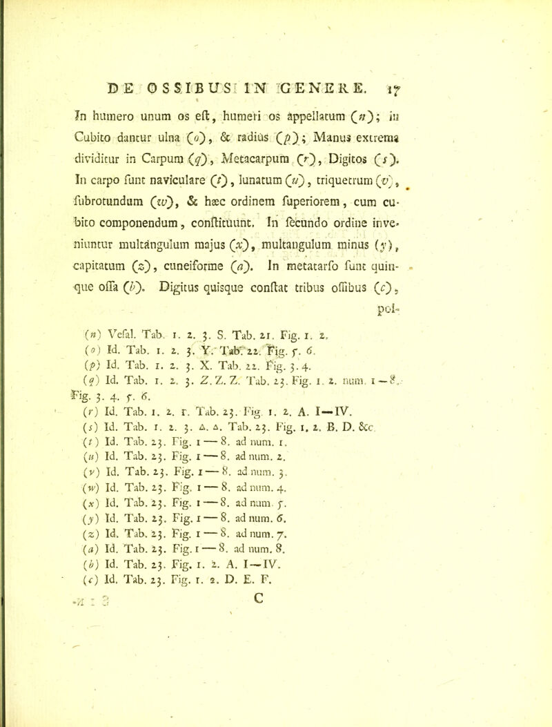 DE OSSIBUS:'1N 'GENERE, i? % * '• s In humero unum os efb, hurneri os appellatum £//); iu Cubito dantur ulna Qo), <5c radius (/)); Manus extrema dividitur in Carpum Metacarpum (V), Digitos (j). In carpo funt naviculare (V), lunatum (V), triquetrum (v)9 fubrotundum (tu), <$t haec ordinem fuperiorem, cum cu- bito componendum, conftitimnt. In lecundo ordine inve- niuntur multangulum majus (.v), multangulum minus (y}t capitatum (s), cuneiforme (V). In metatarfo funt quin* « ■que offa Digitus quisque condat tribus oflibus (c) 5 (n) Vefal. Tab. i. z. 3. S. Tab. 21. Fig. 1. z, (0) Id. Tab. 1. z. 3. Y. IW.22. Fig. f. 6, (p) Id. Tab. 1. z. 3. X. Tab. zz. Fig. 3.4. (?) Id. Tab. 1. 1. 3. Z. Z. Z. Tab. 13. Fig. 1. 1. num 1— S*. Fig. 3. 4. f. 6. (r) Id. Tab. 1. z. r. Tab. 23. Fig. 1. 2. A. 1 —IV. (5) Id. Tab. 1. 2. 3. a. a. Tab. 23. Fig. 1, 2. B. D. 6cc (r) Id. Tab. 23. Fig. 1 — 8. ad num. r. («) Id. Tab. 23. Fig. 1 — 8. ad num. 2. (v) Id. Tab. 23. Fig. 1 — 8. ad num. 3.. (w) Id. Tab. 23. Fig. 1 — 8. ad num. 4. (*) Id. Tab. 23. Fig. 1—8. ad num. f. (y) Id. Tab. 23. Fig. 1 — 8. ad num. 6. (z) Id. Tab, 23. Fig. 1 — 8. ad num. 7. (a) Id. Tab. 23. Fig. r — 8. ad num. 8. {b) Id. Tab. 23. Fig. 1. 2.. A. I — IV.