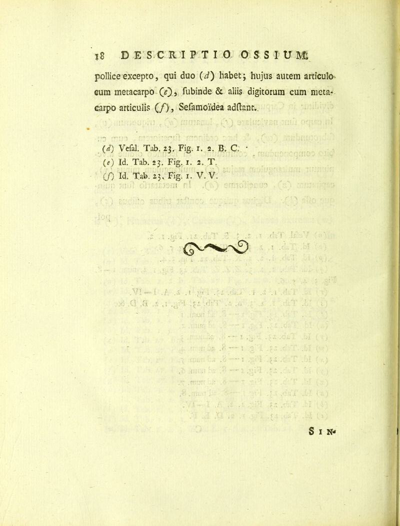 pollice excepto, qui duo (d) habet; hujus autem articulo- cum metacarpo (V)3 fubinde & aliis digitorum cum meta- carpo articulis (/), Sefamordea addant.. (d) Vefal. Tab. 2$. Fig. r, 2. B. C * (e) Id. Tab. 23. Fig. 1. 2. T. 00 Id, Tab. 23, Fig; I. V.V. ' ! ,1 ' ■ (5 'i f ’ * 1 ‘ * »O S I N*