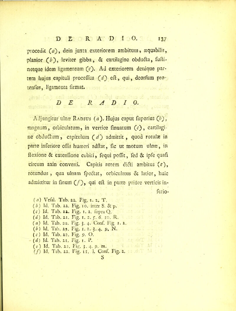 procedit (V), deiii juxta exteriorem ambitum, requabilis, planior CO, ^eviter gibba, & cartilagine obdudita, fufti- netque idem ligamentum ('c). Ad exteriorem denique par- tem hujus capituli proceffus Qd') eft, qui, deorfum pro- tenfus, ligamenta firmat. D E RADIO. Adjungitur ulnts Radius (a). Hujus caput fuperius Qj) , magnum, orbiculatum, in vertice fumatum (e), cartilagi- ne obdudtum, capitulum Qd') admittit, quod rotulae in parte inferiore offis humeri adftac, fic ut motum ulnas, in flexione & extenfione cubiti, fequi poffit, fed & ipfe quafi circum axin converti. Capitis nutem difti ambitus (e)f rotundus , qua ulnam fpcftat, orbiculatus & latior, huic admittitur in finum (/’), qui eft in parte priore verticis in- ferio- (a) Vcfal. Tab. 22. Fig, 1. 2* T. (b) Id. Tab. 22. Fig. 10. inter S. & p„ (c) Id. Tab. zz. Fig. 1. 2. fupra Q. (d) Id. Tab. 2i. Fig. 1. 2. y. 6. 10. R. (a) Id. Tab. 22. Fig. 3. 4. Conf. Fig r. 2„ (b) Id. Tab. 22. Fig. 1. 2.. 3. 4. p, N. (e) Id. Tab. 22. Fig. p. O. (d) Id. Tab. 21. Fig. 1. P. (e ) Id. Tab. 22. Fig. 3. 4. p. 'm. (f) Id. Tab. 22. Fig. ir. 1. Conf. Fig-. 2. S