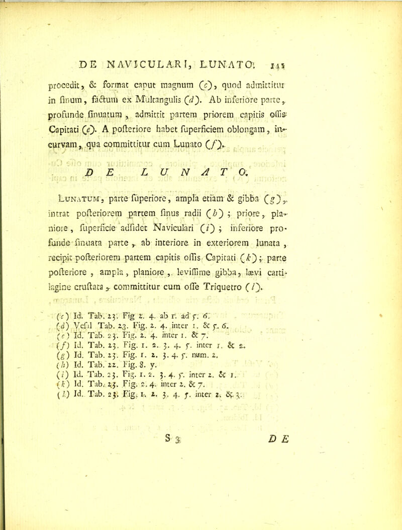 DE NAVICULARI, LUNATO, 145 procedit,. & format caput magnum (Y), quod admittitur in fmuin, fadhim ex Multangulis (Y). Ab inferiore parte, profunde firmatum , admittit partem priorem capitis ©ffis; Capitati (Y)* A pofteriore habet fuperficiem oblongam, in- curvam , qua committitur cum Lunato (/)„. 1 ■ 0 ■ ‘i<' ’ ' ' . DE LUNATO. r i Lunatum, partefuperibre, ampla etiam & gibba (g)3, intrat pofteriorem partem finus radii Qh') ; priore, pla- niore , fuperficie adfidet Naviculari (i') ; inferiore pro- funde -finuata parte r ab interiore in exteriorem lunata, recipit pofleriorem partem capitis offis Capitati (Y’);- parte pofteriore , ampla, planiore,, levifiime gibba, laevi carti- lagine cruftata committitur cum ofte Triquetro (/). (c) Id. Tab, iy. Fig Z. 4. ab r. ad f; 6. (d) Vefal Tab. 2.3. Fig. 2. 4. inter 1. & 7. 6. (e) Id. Tab. 23. Fig. 2, 4. inter 1. & 7. (/) IJ. Tab. 23. Fig. 1. 2. 3. 4. y. inter 1. & (g) Id. Tab. 23. Fig. 1. 2. 3. 4. f. num. z. (/;) Id. Tab.'22. Fig. 8. y. (/) Id. Tab. 23. Fig. 1. 2. 3. 4. f. inter 2. Sc 1, ((’) Id. Tab.' 23. Fig. e. 4. inter 2. & 7. (I) Id, Tab. 23. Fig, 1. 2. 3. 4. j. inter 2.,