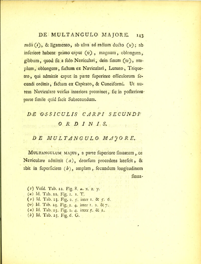 7 DE MULTANGULO MAJORE. 143 radii (/), & ligamento, ab ulna ad radium dudto (Y); ab inferiore habent primo caput Qv) , magnum, oblongum, gibbum, quod fit a folo Naviculari, dein-finum (TE), am- plum oblongum, fata ex. Naviculari, Lunato , Trique- tro, qui admittit caput in parte fuperiore ofliculorum fe- cundi ordinis, fadtum ex Capitato, & Cuneiformi. Ut au- tem Naviculare verfus interiora prominet, fic in pofteriore- parte fimile. quid facit Subrotundum. DE OSSICULIS CARPI SECUNDE ORDINIS. DE MULTANGULO MAJO R E, Multangulum majus , a parte fuperiore fumatumos Naviculare admittit (a), deorfum procedens latefcit9 & abit in fupernciem (//), amplam, fecundum longitudinem finua* (r) Vefal. Tab. 22. Fig. 8. <#. x. 2. y. (u) Id. Tab. 22. Fig. 1. 2. T. (y) Id. Tab. 23. Fig. 2. 7. inter 1. & f. 6, (w) Id. Tab. 23. Fig. 2. 4. inter r. 2. & 7,. (a) Id. Tab. 23. Fig. 2. 4. inter.f. 1.