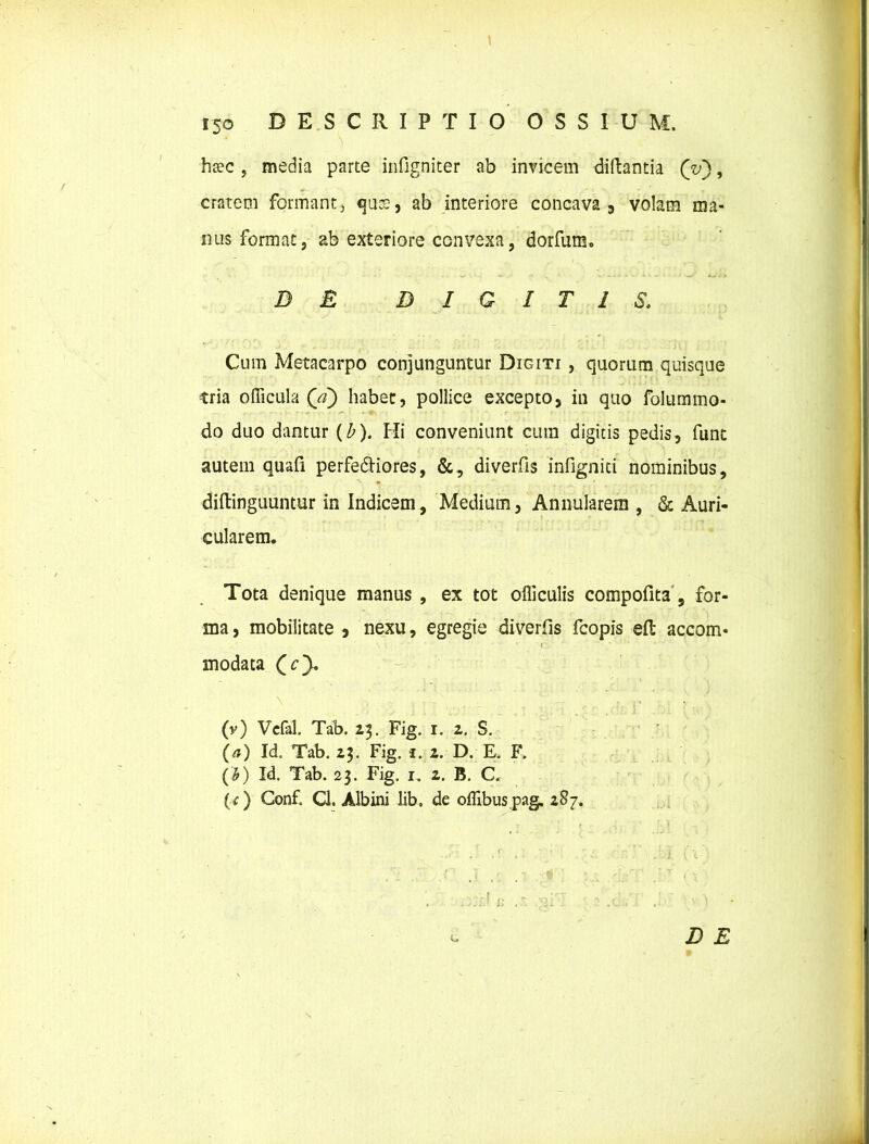 hcec , media parte infigniter ab invicem diftantia (y), cratem formant, «jace-, ab interiore concava , volam ma- nus format, ab exteriore convexa, dorfum. DE DIGITIS. Cum Metacarpo conjunguntur Digiti , quorum quisque tria officula (Vf) habet, pollice excepto, in quo folummo- do duo dantur (b). Hi conveniunt cum digitis pedis, funt autem quali perfefriores, &, diverfis infigniti nominibus, diftinguuntur in Indicem, Medium, Annularem , & Auri- cularem. Tota denique manus , ex tot olliculis compofita , for- ma , mobilitate , nexu, egregie diverfis fcopis eft accom- modata (cy. (v) Vefal. Tab. 23. Fig. 1. 2. S. (a) Id. Tab. 23. Fig. 1. 2. D. E. F. (b) Id. Tab. 23. Fig. 1. 2. B. C, ({) Conf. Cl. Albini lib, de oflibuspag. 287. \ t % ' - i * f f* '• *. ; ’ *s ' • \ ) L, D E