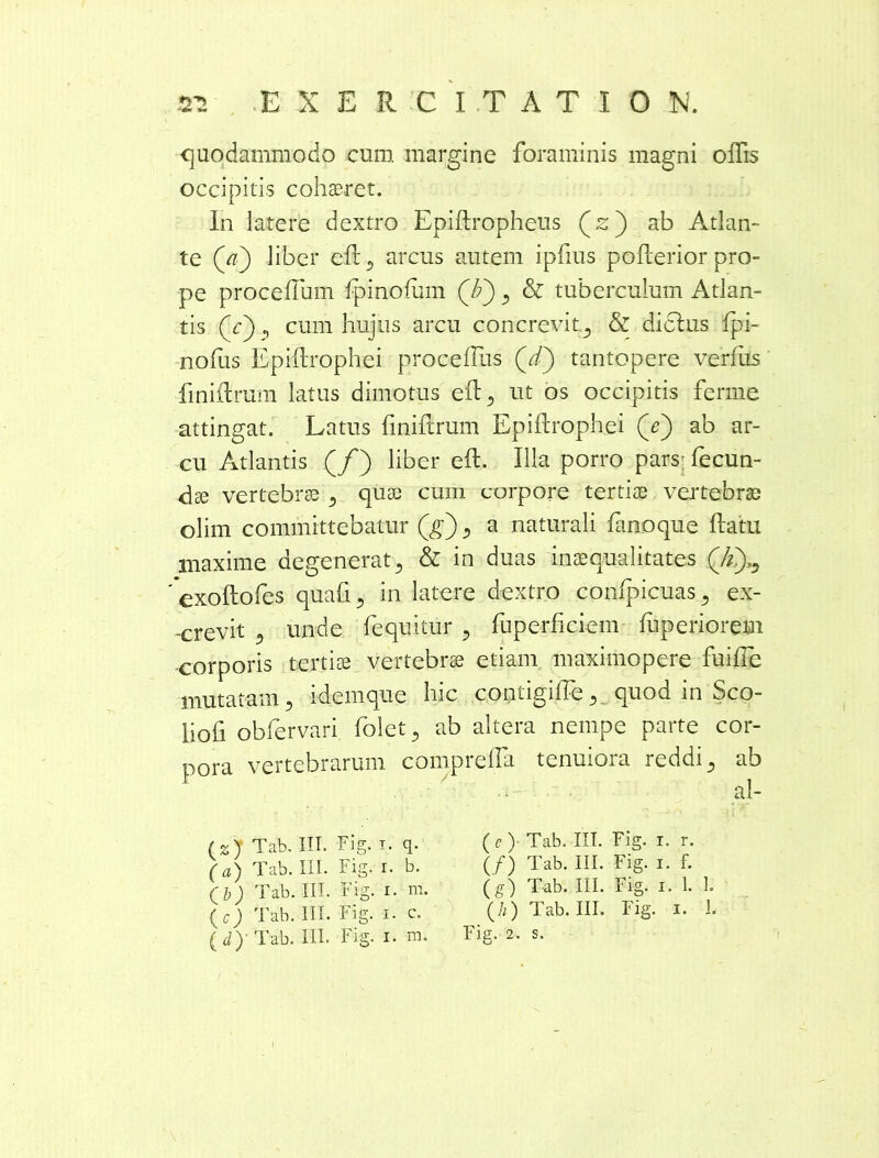 quodammodo cum margine foraminis magni offis occipitis cohaeret. In latere dextro Epiftropheus (z) ab Atlan- te (g?) liber eft 5 arcus autem ipfius poflerior pro- pe proceflum fpinolum (A) 3, & tuberculum Atlan- tis (r) j cum hujus arcu concrevit 5 & dictus fpi- nofus Epiftrophei procefliis (a/) tantopere verius finiftrum latus dimotus eft3 ut os occipitis ferme attingat. Latus iniltrum Epiftrophei (e) ab ar- cu Atlantis (/) liber eft. Illa porro pars; fecun- dae vertebrae 3 quae cum corpore tertiae vertebrae olim committebatur (g) 5 a naturali fanoque ftatu maxime degenerat5 & in duas inaequalitates 'exoftofes quafi, in latere dextro confpicuas., ex- -crevit ? unde fequitur y fuperhciem luperiorem •corporis tertiae vertebrae etiam maximopere fuiffe mutatam 5 idemque hic contigiffe 5 quod in Sco- liofi obfervari folct., ab altera nempe parte cor- pora vertebrarum compreffia tenuiora reddi 5 ab al- (z) Tab. III. Fig. i. q. (a) Tab. III. Fig. r. b. Qb) Tab. III. Fig. i. m. (c) Tab. III. Fig. 1. c. ( J) Tab. III. Fig. 1. m. (<? )- Tab. III. Fig. i. r. (/*) Tab. III. Fig. 1. f. (g) Tab. III. Fig. 1. 1. I. (h) Tab. III. Fig. 1. 1. Fig. 2. s.