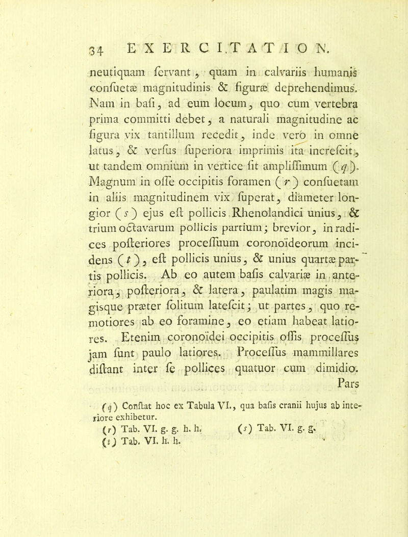 neutiquam fervant 5 quam in calvariis humanis confuetse magnitudinis & figurse deprehendimus. Nam in bafi5 ad eum locum 3 quo cum vertebra prima committi debet^ a naturali magnitudine ac figura vix tantillum recedit ^ inde vero in omne latus ^ & verfiis fuperiora imprimis ita increfcit^ ut tandem omnium in vertice lit ampliflimum ( q ). Magnum in offe occipitis foramen ( r ) confuetam in aliis magnitudinem vix fuperat^ diameter lon- gior (r) ejus eil pollicis Rhenolandici unius ^ & trium octavarum pollicis pardum; brevior^ in radi- ces pofleriores procefRium coronoideorum inci- dens (t) 3 efl pollicis unius 5 & unius quartae par- tis pollicis. Ab eo autem bafis calvariae in ante- riora ^ pofleriora ^ & latera ^ paulatim magis ma- gisque praeter folitum latefcit; ut partes quo re- motiores ab eo foramine ^ eo etiam habeat latio- res. Etenim coronoidei occipitis offis proceflus jam funt paulo latiores. Proceflus mammillares diflant inter fe pollices quatuor cum dimidio. Pars (q) Condat hoc ex Tabula VI., qua bafis cranii hujus ab inte- riore exhibetur. (0 Tab. VI. h. h.
