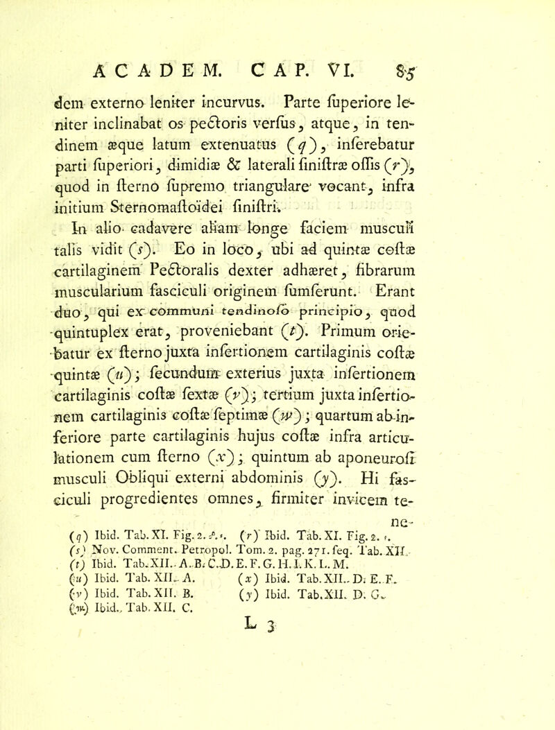 dem externo leniter incurvus. Parte fuperiore le- niter inclinabat os pedforis verfus^ atque 5 in ten- dinem seque latum extenuatus inferebatur parti fuperiorij dimidiae & laterali finiftrae oftis (Oi quod in fterno 'fupremo triangulare vocant^ infra initium Sternomaftoidei finiftri. In alio- cadavere aliam longe faciem musculi talis vidit (Y). Eo in locos ubi ad quintae coftse cartilaginem Pedloralis dexter adhaeret ^ fibrarum muscularium fasciculi originem fiimferunt. Erant duo ^ qui ex communi tendinofb principio y quod -quintuplex erat^ proveniebant (Y). Primum orie- batur ex fterno juxta infertionem cartilaginis coftae -quintae («); fecundum? exterius juxta infertionem cartilaginis coftae fextae (V)* tertium juxta infertio- nem cartilaginis coftae feptimae (w'); quartum ab-in- feriore parte cartilaginis hujus coftae infra articu- lationem cum fterno (x)quintum ab aponeurofi musculi Obliqui externi abdominis (y). Hi fas- ciculi progredientes omnes x firmiter invicem te- ne- (q) Ibid. Tab.XI. Fig.a. A». (r)' Ibid. Tab.XI. Fig.a. f. (s) Nov.Comment. Petr.opol. Tom. 2. pag. 271. feq. Tab. XII,- (t) Ibid. Tab.XII.. .A, B; CJD. E. F. G. H.I. K. L. M. (in) Ibid. Tab. XIL. A. (x) Ibid. Tab.XII.. D; E. F. (v) Ibid. Tab. XII. B. (y) Ibid. Tab.XIL D. G~ (>) Ibid., Tab. XII. C. L 3