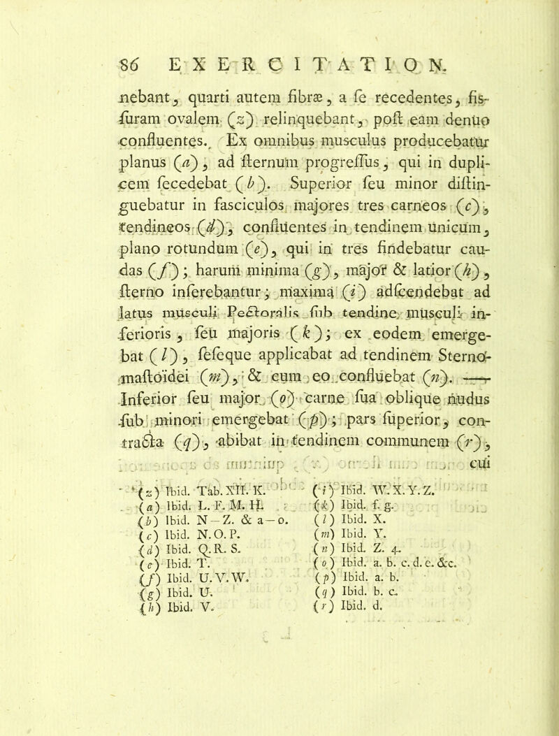 nebant ^ quarti autem fibrae 5 a fe recedentes ^ fis- furam ovalem (s) relinquebant 5 pofl eam deniio confluentes., Ex omnibus musculus producebatur planus (/z) ad flernum progreflus ^ qui in dupli- cem fecedebat Superior feu minor diflin- guebatur in fasciculos majores tres carneos Qc') -5 «tendineos (jf) ^ confluentes in tendinem unicum 5 plano rotundum qui in tres findebatur cau- das Qf'); harum minima (g) ., major & latior 5 fterno inferebantur; maxima (j) adfcendebat ad latus musculi Perioralis fiib tendine musculi in- i r v ferioris 5 feti majoris (k); ex eodem emerge- bat (/)«> fefeque applicabat ad tendinem Sternc*- mafloidei Qn) >: & cum eo confluebat (n). —- Inferior feu major (0) carne fiia oblique nudus lub. minori emergebat (/;); pars fuperior., con- t tradla- (jf) -abibat in tendinem communem (V)3 ia;: mofl , cui * '(z) Ibid. Tab.XlI. K. ; (a) Ibid. L. F. M. H. (i) Ibid. N —Z. & a —o. (c) ibid. N.O.P. ■( d) Ibid. Q.R. S. (e) Ibid. T. (/) Ibid. U.V.W. (g) Ibid. U. {/») Ibid. V. ( i) Ibid. W.X.Y.Z. H) Ibid- f- s- (/) Ibid. X. (m) Ibid. Y. (b) Ibid. Z. 4. ( o ) Ibid. a. b. c. d. e. &c. (/)) Ibid. a. b. (q) Ibid. b. cu (O Ibid. d.