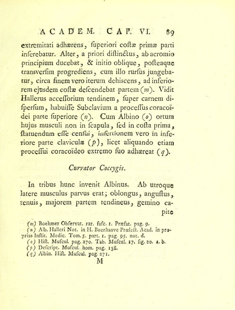 extremitati adhaerens , fuperiori coflae primas parti inferebatur. Alter, a priori diftindius, ab acromio principium ducebat, & initio oblique, pofleaquc transverfim progrediens, cum illo rurfus jungeba- tur, circa finem vero iterum dehiscens, ad inferio- rem ejusdem coflae defeendebat partem (in). Vidit Hallerus accefforium tendinem, fiiper carnem di- fperfum, habuiffe Subclavium a procefliis coracoi- dei parte fiiperiore (n). Cum Albino (0) ortum hujus musculi non in fcapula, fed in cofla prima , {fatuendum efle cenfui, ixiferdonem vero in infe- riore parte claviculas (p'), licet aliquando etiam proceflui coracoideo extremo fuo adhaereat (qy Curvator Coccygis. In tribus hunc invenit Albinus. Ab utroque latere musculus parvus erat; oblongus, anguflus, tenuis, majorem partem tendineus, gemino ca- pite (m) Boehmer Obfervat. rar. fafe. l. Prsefat. pag. 9. (n) Alb. Halleri Noc. in H. Boerbaave Prseledt. Acad. in pro» prias Indit. Medie. Tom. 5. part. r. pag. 95. not. d. (0) Hift. Mufcul. pag. 270. Tab. Mufcul. S7. fig. 20, a. b. (p) Defcript. Mufcul. hom. pag. 138. (q) Albin. Hift. Mufcul. pag. 271. M
