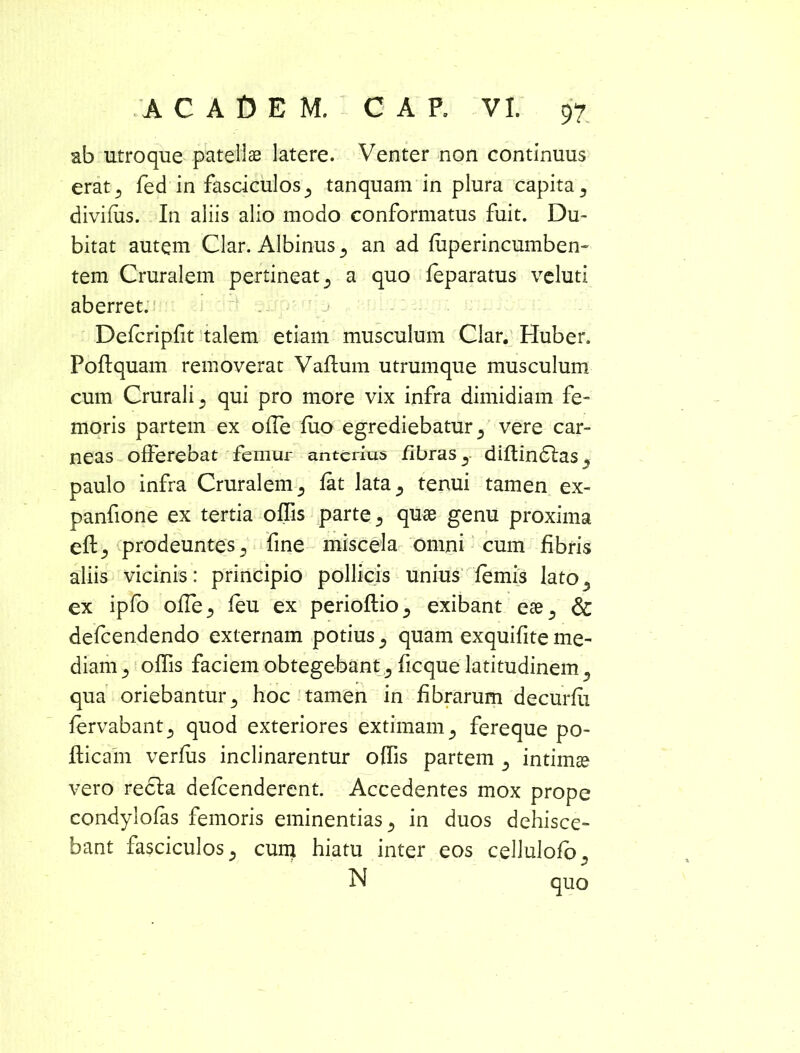 ab utroque patellae latere. Venter non continuus erat., fed in fasciculos tanquam in plura capita, divifiis. In aliis alio modo conformatus fuit. Du- bitat autem Clar. Albinus 5 an ad fiiperincumben- tem Cruralem pertineat ^ a quo feparatus veluti aberret. Defcripfit talem etiam musculum Clar. Huber. Poflquam removerat Vallum utrumque musculum cum Crurali 5 qui pro more vix infra dimidiam fe- moris partem ex offe fuo egrediebatur ^ vere car- neas offerebat femur anterius fibras y diftindlas, paulo infra Cruralem 3 fat lata., tenui tamen ex- panfione ex tertia offis parte 3 quae genu proxima eflj prodeuntes., fine miscela omni cum fibris aliis vicinis: principio pollicis unius femis lato^ ex ipfo offe^ feu ex perioflio^ exibant ese5 & defeendendo externam potius 5 quam exquifite me- diam 5 offis faciem obtegebant 9 ficque latitudinem} qua oriebantur 3 hoc tamen in fibrarum decurfu fervabant^ quod exteriores extimam 5 fereque po- flicain verfus inclinarentur offis partem 5 intimae vero recla defeenderent. Accedentes mox prope condylofas femoris eminentias 3 in duos dehisce- bant fasciculos 5 cum hiatu inter eos cellulofo.