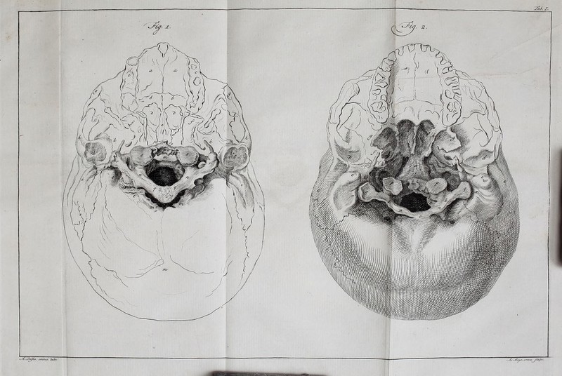 > ■{. —Dej&s, iJGSB/ omne* jatfcs.