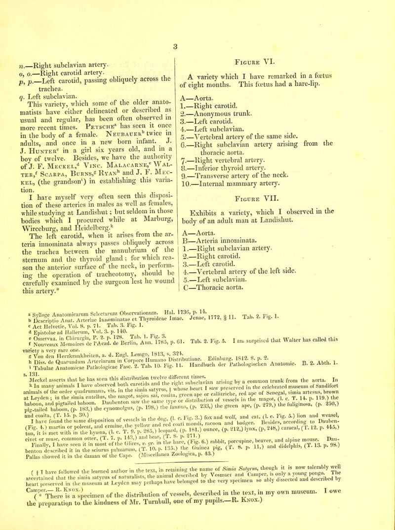 n. —Right subclavian artery. o, o.—Right carotid artery. p, p.—Left carotid, passing obliquely across the trachea. q. Left subclavian. This variety, which some of the older anato- matists have either delineated or described as usual and regular, has been often observed in more recent times. Petsche51 has seen it once in the body of a female. Neubauei^ twice in adults, and once in a new born infant. . J. J. Hunter0 in a girl six years old, and in a boy of twelve. Besides, we have the authority of J. F. Meckel,d Vino. Malacarse,6 Wal- ter/ Scarpa, Burns,® Ryan*1 and J. I1 • Mec- kel, (the grandson1) in establishing this varia- tion. ,. v I hate myself very often seen this disposi- tion of these arteries in males as well as females, while studying at Landishut; but seldom in those bodies which I procured while at Marburg, Wirceburg, and Heidelberg.k The left carotid, when it arises from the ar- teria innominata always passes obliquely across the trachea between the manubrium of the sternum and the thyroid gland ; for which rea- son the anterior surface of the neck, in perform- ing the operation of tracheotomy, should be carefully examined by the surgeon lest he wound this artery.* Figure VI. A variety which I have remarked in a foetus of eight months. This foetus had a hare-lip. A—Aorta. 1. —Right carotid. 2. —Anonymous trunk. 3. —Left carotid. 4. —Left subclavian. 5. —-Vertebral artery of the same side. 6. —Right subclavian artery arising from the thoracic aorta. 7-—Right vertebral artery. 8. —Inferior thyroid artery. 9. —Transverse artery of the neck. 10. —Internal mammary artery. Figure VII. Exhibits a variety, which I observed in the body of an adult man at Landishut. A—Aorta. B—Arteria innominata. 1. —Right subclavian artery. 2. —Right carotid. 3. —Left carotid. 4. —Vertebral artery of the left side. 5. —Left subclavian. C—Thoracic aorta. Tab. 2. Fig. .5. I am surprised that Walter has called this B. 2. Abth. 1. a Sylloge Anatomicarum Selectarum ObservaUonum. Hah 1736, p. 14. b Descriptio Anat. Arteriae Innominatae et Ihyroideae Imae. Jenae, 1772, & 11. -Lab. rig. c Act Helvetic, Vol. 8. p. 71. Tab. 3. Fig. 1. d Epistolae ad Hallerum, Vol. 3. p. 140. e Osservaz. in Chirurgia, P. 2. p. 128. Tab. 1. Fig-3. f Nouveaux Memoires de l’Acad. de Berlin, Ann. 178o, p. 0). variety a very rare one. . e Von den Herzkrankheiten, a. d. Engl. Lemgo, 181.3, s. 32*. „ h nks de Quarundum Arteriarum in Corpore Humano Distributions. Ldinbuig. 181- 8. P- <*• . i Tabulae Anatomicae Patkologicae Fasc. 2. Tab. 10. Fig. 11. Handbuch der 1 athologiscben Ana.omie. s. 131. Meckel asserts that be lias seen this distribution twelve d'^®”^™®Sv’ian aris;ng by a common trunk from the aorta. In k In many animals I have observed both carotids a g. • preserved in the celebrated museum of Saridifort ®W «“ •— <- 2,9-> (p- “0’> SA rfw,. rrc»V^ <p- **> *- * * “p' *‘5,> civet or muse, common otter, (T. 7. p. 143,) and bear, ( . • p- ■) ... rmreunine beaver and alpine mouse. Dau- Finally, I have seen it in most of the Glut. * gr m (T. 13. p. 98.) benton described it m the sciurus palmarum, (T. 10. p. lao.) ™ u t‘1 * l F 1 Pallas showed it in the daman of the Cape. (Miscellanea Zoclogica, p. 43.) ( * I have followed the learned author in the text, in retaining the name of Simla thcughU is now^okrably well = T Ley^niTp^sl ve bTon/ed J the“pecimen so ably dissected and described by Ca7* rTherelN°aXSpecimen of the distribution of vessels, described in the text, in my own museum. I owe the preparation to the kindness of Mr. Turnbull, one of my pupils—K. Knox.)