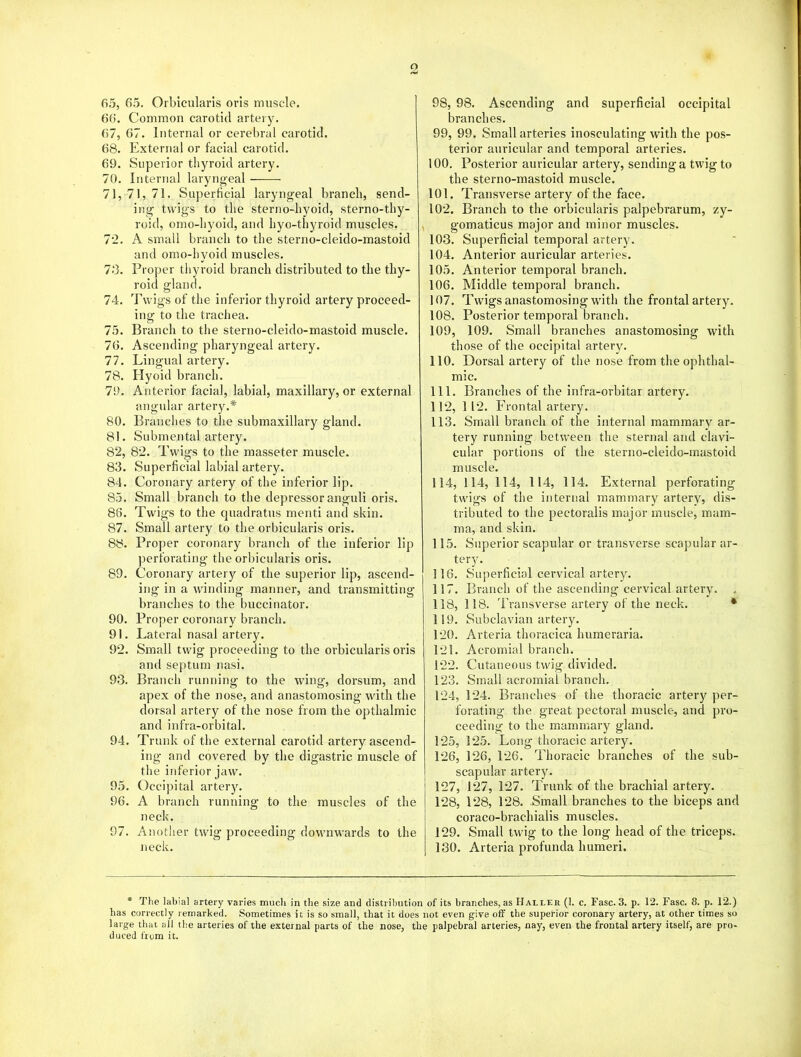 2 65. 65. Orbicularis oris muscle. 66. Common carotid artery. 67. 67. Internal or cerebral carotid. 68. External or facial carotid. 69. Superior thyroid artery. 70. Internal laryngeal ——■ 71,71,71. Superficial laryngeal branch, send- ing twigs to the sterno-hyoid, sterno-thy- roid, omo-hyoid, and hyo-thyroid muscles. 72. A small branch to the sterno-cleido-mastoid and omo-hyoid muscles. 73. Proper thyroid branch distributed to the thy- roid gland. 74. Twigs of the inferior thyroid artery proceed- ing to the trachea. 75. Branch to the sterno-cleido-mastoid muscle. 76. Ascending pharyngeal artery. 77. Lingual artery. 78. Hyoid branch. 79. Anterior facial, labial, maxillary, or external angular artery.* 80. Branches to the submaxillary gland. 81. Submental artery. 82. 82. Twigs to the masseter muscle. 83. Superficial labial artery. 84. Coronary artery of the inferior lip. 85. Small branch to the depressor anguli oris. 88. Twigs to the quadratus menti and skin. 87. Small artery to the orbicularis oris. 88. Proper coronary branch of the inferior lip perforating the orbicularis oris. 89. Coronary artery of the superior lip, ascend- ing in a winding manner, and transmitting branches to the buccinator. 90. Proper coronary branch. 91. Lateral nasal artery. 92. Small twig proceeding to the orbicularis oris and septum nasi. 93. Branch running to the wing, dorsum, and apex of the nose, and anastomosing with the dorsal artery of the nose from the opthalmic and infra-orbital. 94. Trunk of the external carotid artery ascend- ing and covered by the digastric muscle of the inferior jaw. 95. Occipital artery. 96. A branch running to the muscles of the neck. 97. Another twig proceeding downwards to the neck. 98, 98. Ascending and superficial occipital branches. 99, 99. Small arteries inosculating with the pos- terior auricular and temporal arteries. 100. Posterior auricular artery, sending a twig to the sterno-mastoid muscle. 101. Transverse artery of the face. 102. Branch to the orbicularis palpebrarum, zy- gomaticus major and minor muscles. 103. Superficial temporal artery. 104. Anterior auricular arteries. 105. Anterior temporal branch. 106. Middle temporal branch. 107. Twigs anastomosing with the frontal artery. 108. Posterior temporal branch. 109. 109. Small branches anastomosing with those of the occipital artery. 110. Dorsal artery of the nose from the ophthal- mic. 111. Branches of the infra-orbitar artery. 112. 112. Frontal artery. 113. Small branch of the internal mammary ar- tery running between the sternal and clavi- cular portions of the sterno-cleido-mastoid muscle. 114. 114, 114, 114, 114. External perforating twigs of the internal mammary artery, dis- tributed to the pectoralis major muscle, mam- ma, arid skin. 115. Superior scapular or transverse scapular ar- tery. 116. Superficial cervical artery. 117. Branch of the ascending cervical artery. 118,118. Transverse artery of the neck. * 119. Subclavian artery. 120. Arteria thoracica humeraria. 121. Acromial branch. 122. Cutaneous twig divided. 123. Small acromial branch. 124. 124. Branches of the thoracic artery per- forating the great pectoral muscle, and pro- ceeding to the mammary gland. 125. 125. Long thoracic artery. 126. 126, 126. Thoracic branches of the sub- scapular artery. 127. 127, 127. Trunk of the brachial artery. 128. 128, 128. Small branches to the biceps and coraco-braehialis muscles. 129. Small twig to the long head of the triceps. 130. Arteria profunda humeri. * The labial artery varies much in the size and distribution of its branches, as Halleii (1. c. Fasc. 3. p. 12. Fasc. 8. p. 12.) has correctly remarked. Sometimes it is so small, that it does not even give off the superior coronary artery, at other times so large that all the arteries of the external parts of the nose, the palpebral arteries, nay, even the frontal artery itself, are pro- duced from it.