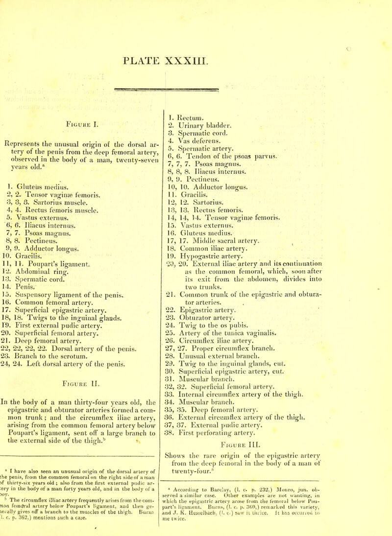 Figure I. Represents the unusual origin of the dorsal ar- tery of the penis from the deep femoral artery, observed in the body of a man, twenty-seven years old.a 1, Gluteus rnedius. 2, 2. Tensor vaginae femoris. 3, 3, 3. Sartorius muscle. 4, 4. Rectus femoris muscle. 5, Vastus externus. 0, 6. Iliacus interims. 7, 7. Psoas magnus. 8, 8. Pectineus. 9, 9. Adductor longus. 10. Gracilis. 11. 11. Poupart’s ligament 12. Abdominal rinsr. ■-i “ 13. Spermatic cord. 14. Penis. 3 A. Suspensory ligament of the penis. 16. Common femoral artery. 17. Superficial epigastric artery. 18. 18. Twigs to the inguinal glands. 19. First external pudic artery. 20. Superficial femoral artery. 21. Deep femoral artery. 22. 22, 22, 22. Dorsal artery of the penis. 23. Branch to the scrotum. 24. 24. Left dorsal artery of the penis. Figure II. In the body of a man thirty-four years old, the epigastric and obturator arteries formed a com- mon trunk; and the circumflex iliac artery, arising from the common femoral artery below Poupart’s ligament, sent off a large branch to the external side of the thigh.b o a I have also seen an unusual origin of the dorsal artery of the penis, from the common femoral on the right side of a man if thirty-six years old ; also from the first external pudic ar- tery in the body of a man forty years old, and in the body of a 5oy. b The circumflex illiac artery frequently arises from the com- non fermjral artery belotv Poupart’s ligament, and then ge- lerally gives off a braneh to the muscles of the thigh. Burns 1. c. p. 362,) mentions such a case. 1. Rectum. 2. Urinary bladder. 3. Spermatic cord. 4. Vas deferens. 5. Spermatic artery. 6. 6. Tendon of the psoas parvus. 7. 7, 7. Psoas magnus. 8. 8, 8. Iliacus interims. 9. 9. Pectineus. 10. 10. Adductor longus. 11. Gracilis. 12. 12. Sartorius. 13. 13. Rectus femoris. 14. 14, 14. Tensor vaginae femoris. 15. Vastus externus. 16. Gluteus rnedius. 17. 17. Middle sacral artery. 18. Common iliac artery. 19. Flypogastrie artery. 20. 20. External iliac artery and its continuation as the common femoral, which, soon after its exit from the abdomen, divides into two trunks. 21. Common trunk of the epigastric and obtura- tor arteries. 22. Epigastric artery. 23. Obturator artery. 24. Twig to the os pubis. 25. Artery of the tunica vaginalis. 26. Circumflex iliac artery. 27. 27. Proper circumflex branch. 28. Unusual external branch. 29. Twig to the inguinal glands, cut. 30. Superficial epigastric artery, cut. 31. Muscular branch. 32. 32. Superficial femoral artery. 33. Internal circumflex artery of the thigh. 34. Muscular branch. 35. 35. Deep femoral artery. 36. External circumflex artery of the thigh. 37. 37. External pudic artery. 38. First perforating artery. Figure III. Shows the rare origin of the epigastric artery from the deep femoral in the body of a man of twenty-four.a a According to Barclay, (1. c. p. 232,) Monro, jun. ob- served a similar case. Other examples are not wanting, in which the epigastric artery arose from the femoral below Pou- part’s ligament. Burns, (1. c. p. 360,) remarked this variety, and J. K. Hesselbach, (I. c.) saw it thrice, it has occurred to me twice.