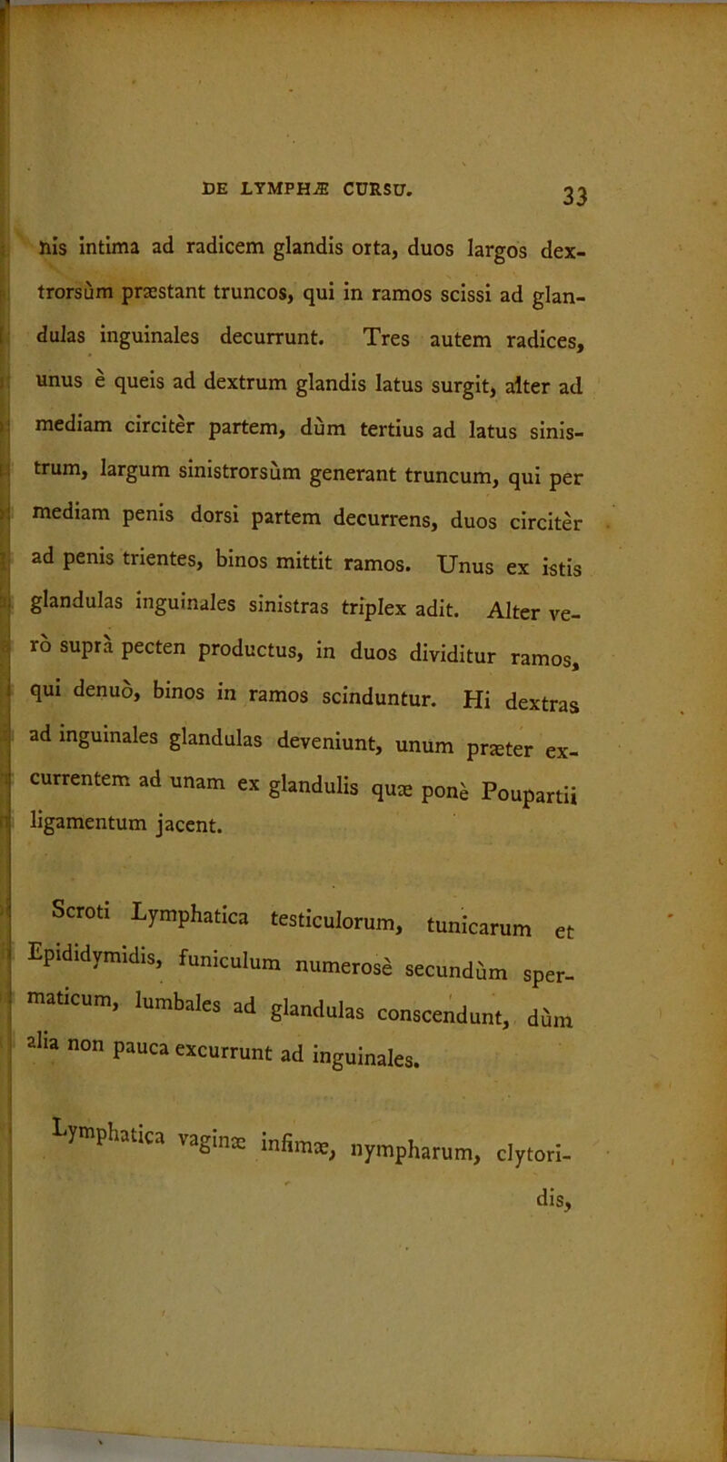 nis intima ad radicem glandis orta, duos largos dex- trorsum praestant truncos, qui in ramos scissi ad glan- dulas inguinales decurrunt. Tres autem radices, unus e queis ad dextrum glandis latus surgit, alter ad mediam circiter partem, dum tertius ad latus sinis- trum, largum sinistrorsum generant truncum, qui per mediam penis dorsi partem decurrens, duos circiter ad penis trientes, binos mittit ramos. Unus ex istis glandulas inguinales sinistras triplex adit. Alter ve- ro supra pecten productus, in duos dividitur ramos, qui denuo, binos in ramos scinduntur. Hi dextras ad inguinales glandulas deveniunt, unum prater ex- currentem ad unam ex glandulis qure pon^ Poupartii ligamentum jacent. Scroti Lymphatica testiculorum, tunicarum et Epididymidis, funiculum numerose secundum sper- maticum, lumbales ad glandulas conscendunt, diim aha non pauca excurrunt ad inguinales. Lymphatica vaginae infimae, nympharum, clytori-