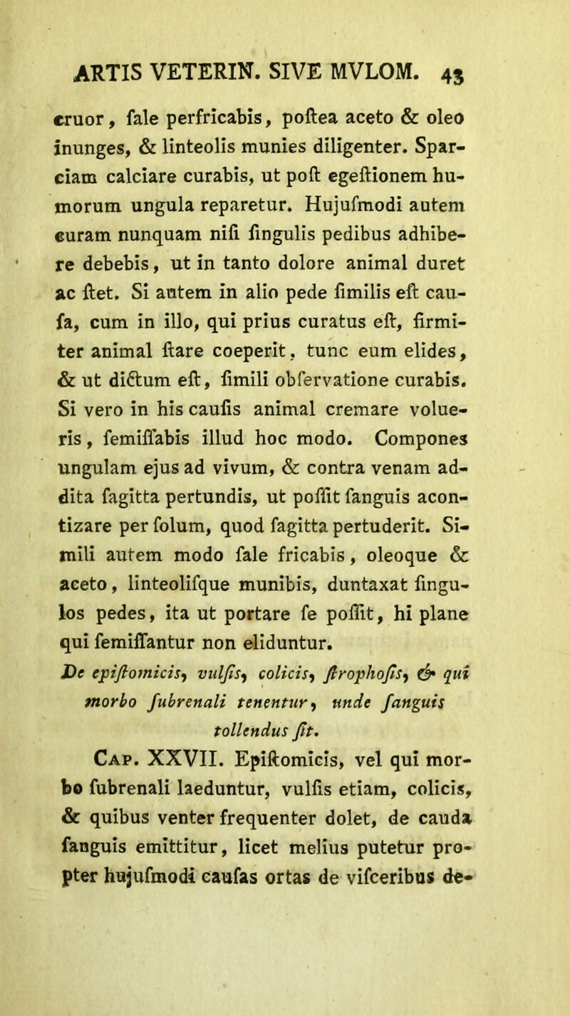 eruor, fale perfricabis, poftea aceto & oleo inunges, & linteolis munies diligenter. Spar- ciam calciare curabis, ut poft egeftionem hu- morum ungula reparetur. Hujufmodi autem euram nunquam nili lingulis pedibus adhibe- re debebis, ut in tanto dolore animal duret ac ftet. Si autem in alio pede fimilis eft cau- fa, cum in illo, qui prius curatus eft, firmi- ter animal ftare coeperit, tunc eum elides, & ut dittum eft, fimili obfervatione curabis. Si vero in his caulis animal cremare volue- ris , femiflabis illud hoc modo. Compones ungulam ejus ad vivum, & contra venam ad- dita fagitta pertundis, ut poflit fanguis acon- tizare per folum, quod fagitta pertuderit. Si- mili autem modo fale fricabis, oleoque & aceto, linteolifque munibis, duntaxat fingu- los pedes, ita ut portare fe poflit, hi plane qui femiffantur non eliduntur. De epijlomicis, vuljis, colicis, ftropliofis, & qui morbo fubrenali tenentur, unde J'anguis tollendus Jit. Cap. XXVII. Epiftomicis, vel qui mor- bo fubrenali laeduntur, vulfis etiam, colicis, & quibus venter frequenter dolet, de cauda fanguis emittitur, licet melius putetur pro- pter hujufmodi caufas ortas de vifceribus de-