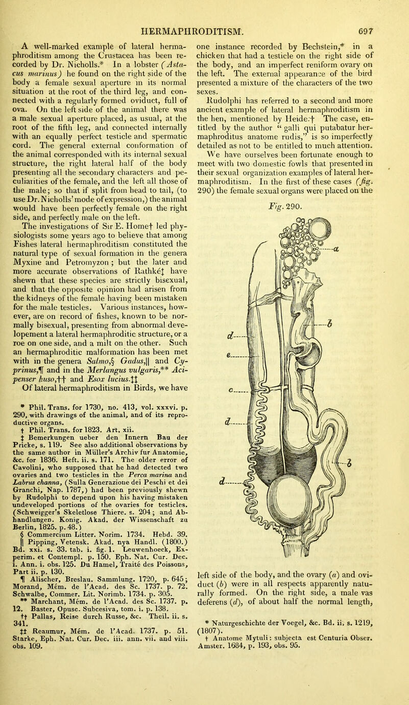 A well-marked example of lateral herma- phroditism among the Crustacea has been re- corded by Dr. Nicholls.'* In a lobster (Anta- eus marinus) he found on the right side of the body a female sexual aperture in its normal situation at the root of the third leg, and con- nected with a regularly formed oviduct, full of ova. On the left side of the animal there was a male sexual aperture placed, as usual, at the root of the fifth leg, and connected internally with an equally perfect testicle and spermatic cord. The general external conformation of the animal corresponded with its internal sexual structure, the right lateral half of the body presenting all the secondary characters and pe- culiarities of the female, and the left all those of the male; so that if split from head to tail, (to use Dr. N icholls’ mode of expression,) the animal would have been perfectly female on the right side, and perfectly male on the left. The investigations of Sir E. Homef led phy- siologists some years ago to believe that among Fishes lateral hermaphroditism constituted the natural type of sexual formation in the genera Myxine and Petromyzon ; but the later and more accurate observations of RathkeJ have shewn that these species are strictly bisexual, and that the opposite opinion had arisen from the kidneys of the female having been mistaken for the male testicles. Various instances, how- ever, are on record of fishes, known to be nor- mally bisexual, presenting from abnormal deve- lopement a lateral hermaphroditic structure, or a roe on one side, and a milt on the other. Such an hermaphroditic malformation has been met with in the genera Salmo,§ Gadus,|| and Cy- prinus,% and in the Merlangus vulgaris,** Aci- penser kusoA\ and Esox lucius.\\ Of lateral hermaphroditism in Birds, we have * Phil. Trans, for 1730, no. 413, vol. xxxvi. p. 290, with drawings of the animal, and of its repro- ductive organs. t Phil. Trans, for 1823. Art, xii. $ Bemerkungen ueber den Innern Bau der Pricke, s. 119. See also additional observations by the same author in MUller's Archiv fur Anatomie, &c. for 1836. Heft. ii. s. 171. The older error of Cavolini, who supposed that he had detected two ovaries and two testicles in the Perea marina and Labrus channa, (Sulla Generazione dei Peschi et dei Granchi, Nap. 1787,) had been previously shewn by Rudolphi to depend upon his having mistaken undeveloped portions of the ovaries for testicles. (Schweigger’s Skeletlose Thiere. s. 204; and Ab- handlungeD. Konig. Akad. der Wissenschaft zu Berlin, 1825. p.48.) SCommercium Litter. Norim. 1734. Hebd. 39. Pipping, Yetensk. Akad. nya Handl. (1800.) Bd. xxi. s. 33. tab. i. fig. 1. Leuwenhoeck, Ex- perim. et Contempl. p. 150. Eph. Nat. Cur. Dec. i. Ann. i. obs. 125. Du Hamel, Traite des Poissons, Part ii. p. 130. H Alischer, Breslau. Sammlung. 1720, p. 645; Morand, Mem. de l’Acad. des Sc. 1737. p. 72. Schwalbe, Commer. Lit. Norimb. 1734. p. 305. ** Marchant, Mem. de I’Acad. des Sc. 1737. p. 12. Baster, Opusc. Subcesiva, tom. i. p. 138. tf Pallas, Reise durch Russe, &c. Theil. ii. s. 341. $1 Reaumur, Mem. de l’Acad 1737. p. 51. Starke, Eph. Nat. Cur. Dec. iii. ann. vii. and viii. obs. 109. one instance recorded by Bechstein,* in a chicken that had a testicle on the right side of the body, and an imperfect reniform ovary on the left. The external appearance of the bird presented a mixture of the characters of the two sexes. Rudolphi has referred to a second and more ancient example of lateral hermaphroditism in the hen, mentioned by Heide.f The case, en- titled by the author “ galli qui putabatur her- maphroditus anatome rudis,” is so imperfectly detailed as not to be entitled to much attention. We have ourselves been fortunate enough to meet with two domestic fowls that presented in their sexual organization examples of lateral her- maphroditism. In the first of these cases (fig. 290) the female sexual organs were placed on the Fig. 290. left side of the body, and the ovary (a) and ovi- duct (6) were in all respects apparently natu- rally formed. On the right side, a male vas deferens (d), of about half the normal length, * Naturgeschichte der Voegel, &c. Bd. ii, s. 1219, (1807). t Anatome Mytuli: subjecta est Centuria Obser. Amster. 1684, p. 193, obs. 95.