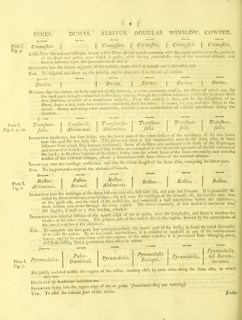 Fig. 4. Plate I. Fig. 8. 9. 10. Plate I. Fig. 6. Plate I. fig- 7- INNES. DUMAS. ( 5 ) ALBINUS. DOUGLAS. WINSLOW. COWPER. Arifes from the internal oblique, where a few fibres of that mufcle intermix with the tranfverfalis, near the junciion of the ilium and pubis, over which it pafles, after having pierced the ring of the external oblique, and then it defeends upon the fpermatie cord, and is Inserted into the tunica vaginalis of the tefticle, upon which it fpreads and is infenfibly loft. Use. To fufpend and draw up the teflicle, and to comprefs it in the act of coiLion. Dartos. j | Dartos. | Dartos. \ Dartos. \ Dartos. Window favs the dartos, or flefhy portion of the ferolum, is a fine cutaneous mufcle, the fibres of which are, for the in oft part, ftrongly connected to the flein, running through the cellular fubltar.ee winch lies between thole two portions, in place of a lnembrana adipofa. That this mulcle is thin, and by the difpofit.on ot its fibres, forms a bag with two cavities, containing both the tefies. I cannot fee any mufcular fibres m the dartos. Innes, and many other anatomills, del'cribe it as a condensation of cellular membrane lining the ferotum. Tranfver- falis. Lumbo-ili- | Tranfverfus Tranfver- Tranfver- Abdominal. j Abdominis. falis. falis. Tranfver falls. Inserted tendinous, but foon flefliy, into the lower part of the inner lurface of the cartilages of the two lower true ribs and the five falfe ribs. (The fibres run more or lets traniverfely tow aids the linea alba, at fome d.ftance from which they become tendinous). Some of its fibres are continued with thofe of he diaphragm and intercoftal mufcles, by a broad thin tendon, are conneaed to the tranfverfe proceffes of thelafi i ertebraof the back ; to the four fuperior of the loins; flefhy, into the whole lp.ne ot the ilium internally, and into the tendon of the external oblique, where it intermixes with fome fibres of the internal oblique. Inserted into the cartilage enfiformis, and into the whole length of the linea alba, excepting its lower part. Use. To lupport and comprefs the abdominal bowels. Refius Abdominis. Pubio- Refius ReElus. Rcfius. Sternal. j Abdominis. Refius. t • Mrtllao-e of the three inferior true libs, tint talie riD, ana lino cne neiiium. *■*- INSERvideTby three tendfnousintofeaions; the find near the cartilage of the feventh rib the (ccond near that of the ninth rib, and the third at the umbilicus, and commonly a half interfeftion be on the umbilicus, v thefe feZm penetrate through the whole mufcle. The lower extremity of this mulcle is narrower than the upfier: it ends in a thin tendon, which is . . • 1 1 u* of the os pubis* near the fyrnphyfes9 and there it touches the Inserted into internal labium L1 ..... lies in the vaeina.’formed by the aponeurofes of Use. CM U1V/ BL***,** . ? 1 - *■* ? ' thefe feldom penetrate through the whole mufcle. the upper ; it ends in a thin tendon, which is the “i’one“roles f the broad mufcles of the abdomen. , , „ , . , f . _ ovf Kni more nnrliculai-lv the lower part of the belly; to bend the trunk forwards; plwf i. is e&led to.con Ja * any of the immediate fpaS.r»d 1byC^nne&on.'Vill. the tendons of the other mulcles, .t is prevented from changing place, and from railing into a prominent form when in action. 7— Pyramidalis. Pubio- Ombilical. Pyramidalis. Pyramidalis Fallopii. Pyramidalis. Pyramidalis vel Succen- turiatus. Ue partly inclofed within the vagina of the reflus, running elofe by each other along the linea alba, to which they are nserted by tendinous indentations. nserted flefhy into the upper edge of the os pubis. (Sometimes they are wanting) Jse. To aflift the inferior part of the reftus. '£rtlht