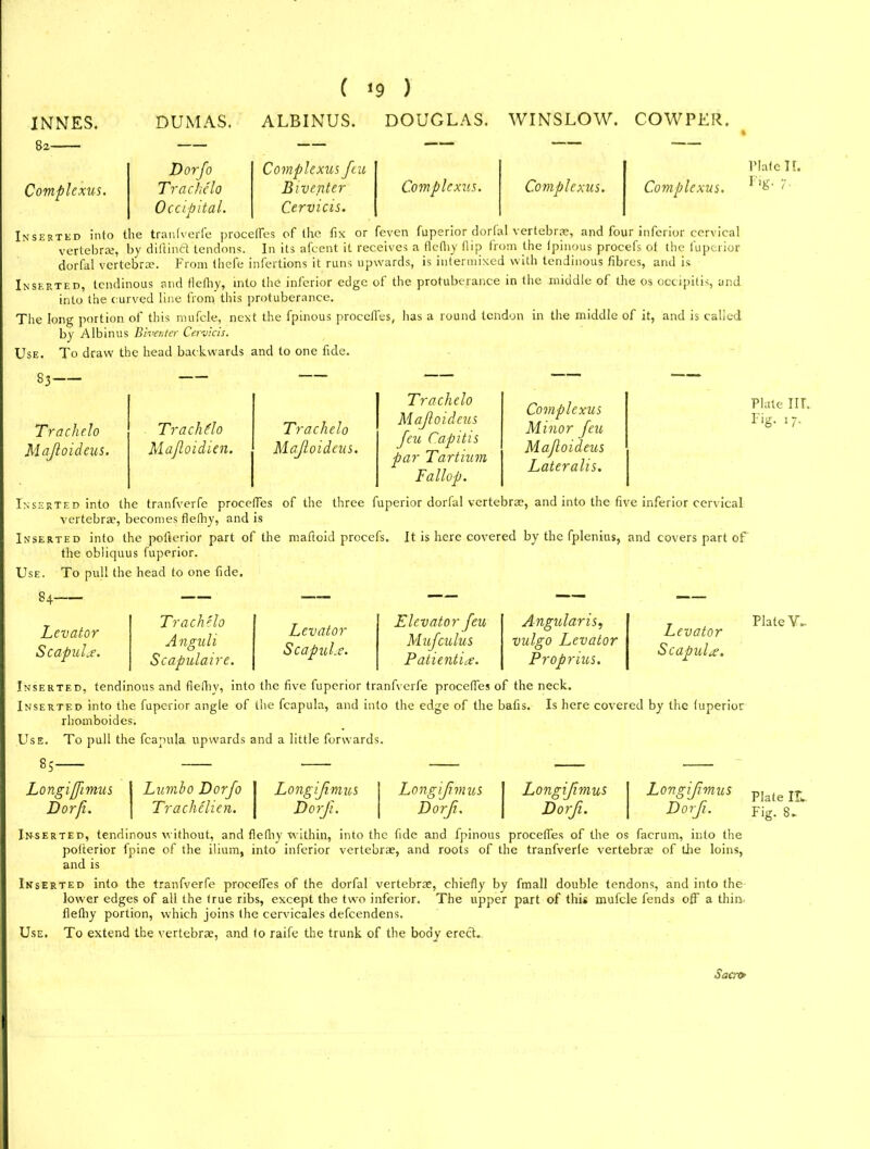 XNNES. DUMAS. ALBINUS. DOUGLAS. WINSLOW. COWPER. Complexus. Dor Jo Complexus feu Complexus. Complexus. Trachelo Biventer Occipital. Cervicis. Complexus. Plate H. Pig- 7- Inserted into the tranfverfe proceffes of the fix or feven fuperior dorfal vertebra*, and four inferior cervical vertebrae, by diftindt tendons. In its afeent it receives a flethy flip from the tpinous procefs ot the fuperior dorfal vertebra?. From thefe infertions it runs upwards, is intermixed with tendinous fibres, and is Inserted, tendinous and flethy, into the inferior edge of the protuberance in the middle of the os occipitis, and into the curved line from this protuberance. The long portion of this mufcle, next the fpinous proccfi'es, has a round tendon in the middle of it, and is called by Albinus Biventer Cermets. Use. To draw the head backwards and to one fide. 83 Trachelo Majloideus. Trachtto Majloidien. Trachelo Majloideus. Trachelo Majloideus Jeu Capitis par Tartium Fallop. Complexus Minor feu Majloideus Lateralis. Plate IIT. Fig. 17. Inserted into the tranfverfe procetfes of the three fuperior dorfal vertebrae, and into the five inferior cervical vertebrae, becomes flethy, and is Inserted into the pofterior part of the mafioid prccefs. It is here covered by the fplenius, and covers part oF the obliquus fuperior. Use. To pull the head to one fide. 84 Levator Scapula. Trachelo Anguli Scapulaire. Levator Scapula. Elevator feu Angular is, Mufcuius vulgo Levator Patientia. Proprius. Levator Scapula. Plate V- Inserted, tendinous and flethy, into the five fuperior tranfverfe procetfes of the neck. Inserted into the fuperior angle of the fcapula, and into the edge of the bafis. Is here covered by the fuperior rhomboides. Use. To pull the fcapula upwards and a little forwards. 85 Longijfimus Dorji. 1 Lumbo Dorfo I Longijimus Longijimus 1 Longijimus Trachelien. Dorji. Dorfi. Dorfi. Lovgijimus Dorfi. Plate Ilk Fig. 8. Inserted, tendinous without, and flethy within, into the fide and fpinous procetfes of the os facrum, into the pofterior fpine of the ilium, into inferior vertebras, and roots of the tranfverfe vertebrae of tire loins, and is Inserted into the tranfverfe procetfes of the dorfal vertebrae, chiefly by fmall double tendons, and into the lower edges of all the true ribs, except the two inferior. The upper part of this mufcle fends off a thin flethy portion, which joins the cervicales defeendens. Use. To extend the vertebrae, and to raife the trunk of the body erect. Sacro