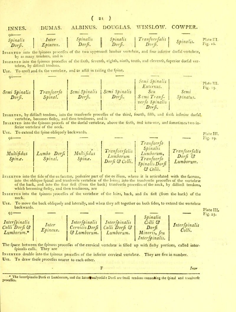 ALBINUS. DOUGLAS. WINSLOW. COWPER. Inter Spinalis Spinalis Tranfverfalis Spinalis. Epineux. Dorf. Dorf. Dorf. 9o Spinalis Dorji. Inserted into the fpinous precedes of the two uppermoft lumbar vertebra:, and four inferior dorfal vertebra?, by as many tendons, and is Inserted into the fpinous procefles of the fixth, feventh, eighth, ninth, tenth, and eleventh, fuperior dorfal ver- tebras, by difiindt tendons. Use. To eredt and fix the vertebra?, and to aflift in raifing the fpine. 91- Snni Spinalis Dorji. Tranfverfo Semi Spinalis Semi Spinalis Semi Spinalis Externus. Seu Spinal. Dorfi. Dorfi. S emi Tranf- verfo Spinalis Dorfi. Semi Spinatus. Inserted, by diftindf tendons, into the tranfverfe procefles of the third, fourth, fifth, and fixth inferior dorfal vertebra?, becomes flefiiy, and then tendinous, and is Inserted into the fpinous procefs of the dorfal vertebra?, above the fixth, and into one, and fometimes two in- ferior vertebra? of the neck. Use. To extend the fpine obliquely backwards. Multifidus Spina. Lumbo Dorfi Spinal. Multijidus Spina. Tranfverfalis Lumborum Dorfi & Colli. Tranfverfo Spinalis Lumborum, Tranfverfo Spinalis Dorf & Colli. Tranfverfalis Dorfi Lumborum. Inserted into the tide of the os tacrftm, pofierior part of the os ilium, where it is articulated with the facrum, into the oblique lpinal and tranfverfe vertebrae of the loins; into the tranlverfe precedes of the vertebrae of the back, and into the four firfi (from the back) tranfverfe procefles of the neck, by diftindl tendons, which becoming flefliy, and then tendinous, are Inserted into the tpinous procefles of the vertebrae of the loins, back, and fix firfi: (from the back) of the neck. Use. To move the back obliquely and laterally, and when they adt together on both tides, to extend tire vertebra? backwards. 93- Interfpinalis Colli Dorfi & Lumborum.* Spinalis Inter Interfpinalis Interfpinalis Colli £? Epineux. Cervicis Dorf & Lumborum. Colli Dorf & Lumborum. Dorf Minor is, feu Interfpinalis. Interfpinalis Colli. The fpace between the fpinous procefles of the cervical vertebra? is filled up with flefiiy portions, called inter- fpinalis colli. They are Inserted double into the tpinous procefles of the inferior cervical vertebrae. They are five in number. Use. To draw thefe precedes nearer to each other. F Inter The Interfpinalis Dorfi et Lumborum, and the Inter^antYerfahs Dorfi are fmall tendons connedkins the fpinal and tranfverfe procefles. 0 r Plate III. Fig. 16. Plate 111. Fig- 19- Plate III. Fig. 19. Plate Iir, Fig. 23.