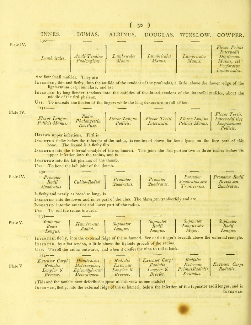 Plate IV. Plate IV. Plate V. Plate V. ( 30 ) INN ES. DUMAS. ALBINUS. DOUGLAS. WINSLOW. 130 — — Lumbricales. Anuli-Tendino Phalcngiens. Lumbricales Manus. Lumbricales Manus, Lumbricales Mianus. COWPER. Flexor Primi Internodii Digitorum Manus, vcl Perforatus Lumbricales. Are four fmall mufcles. They are Inserted, thin and flefhy, into the outfide of the tendons of the profundus, a little above the lower edge of the ligamentum carpi annulare, and are Inserted by long (lender tendons into the outfides of the broad tendons of the interoflei mufcles, about the middle of the firfl phalanx. Use. To increafe the flexion of the fingers while the long flexors are in full action. 131 Flexor Longus Pollicis Manus. Pad 10- Phalangettin Du-Puse. Flexor Longus Pollicis. Flexor Teriii Internodii. I Flexor Ter til. Flexor Longus j Internodii she Pollicis Manus. | Longissimus Pollicis. Has two upper infertions. Firfl is Inserted flefliy below the tubercle of the radius, Is continued down for fome fpace on the fore part of this bone. The fecond is a flefliy flip Inserted into the internal condyle of the os humeri. This joins the firfl portion two or three inches below its upper infertion into the radius, and is Inserted into the laft phalanx of the thumb. Use. To bend the laft joint of the thumb. Pronator Cubiio-Radial. ■ Padii Quadratics. Pronator Quadratics. Pronator Quadratics. Pronator Quadratics sive Transversus. Pronator Padii Brevis seu Quadratics. Is flefliy and nearly as broad as long, is Inserted into the lower and inner part of the ulna. The fibres run tranfverfely and are Inserted into the anterior and lower part of the radius. Use. To roll the radius inwards. J33- Sicpinator Padii Longus. Uumero-sus Supinator Supinator Padii Supinator Longus sive Paclial. Longus. Longics. Major. Supinator Padii Longus. Inserted, flefliy, into the external ridge of the os humeri, five or fix finger’s breadth above the external condyle. Inserted, by a flat tendon, a little above the ftyloide procefs of the radius. Use. To roll the radius outwards, and when it erodes the ulna to roll it back. Extensor Carpi Paclialis. 134 Extensor Carpi Paclialis Longior H, Brevior. (This and the mufcle next deferibed appear at firfl view as one mufcle) Inserted, flefliy, into the external ridge of the os humeri, below the infertion of the fupinator radii longus, and is Inserted Llumero-sus Padialis Extensor Carpi Padialis Metacarpien, Extcrnus Padialis Extermcs Epicondylo-sus Longior H Longior fif Primus Padialis Metacarpien. Brevior. Brevior. Secundus.
