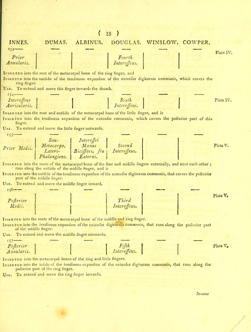 *53 Prior Annularis. - - Fourth InteroJJeus. Plate IV. Inserted into the root of the metacarpal bone of the ring finger, and Inserted into the outfide of the tendinous expanfion of the extenfor digitorum communis, which covers the ring finger. Use. To extend and move this finger towards the thumb. 154 Inter off ms Auricularis. Sixth Inter offeits. Plate IV. Inserted into the root and outfide of the metacarpal bone of the little finger, and is Inserted into the tendinous expanfion of the extenfor communis, which covers the pofterior part of this finger. Use. To extend and move the little finger outwards. *55 Prior Medii. Sou- Interoffei Metacarpo. Manus Second Lateri- Biciffites, feu InteroJJeus. Phalangiens. Externi. Plats V. Inserted into the roots of the metacarpal bone of the fore and middle fingers externally, and next each other ; • runs along the outfide of the middle finger, and is Inserted into the outfide of the tendinous expanfion of the extenfor digitorum communis, that- covers the pofterior part of the middle finger. Use, To extend and move the middle finger inward. 156 Pojlerior Medii, Third InteroJJeus. Plate V. Inserted into the roots of the metacarpal bone of the middle and ring finger. Inserted into the tendinous expanfion of the extenfor digitorum communis, that runs along the pofterior part of the middle finger. Use. To extend and move the middle finger outwards. 157 Pojlerior Annularis. Fifth InteroJJeus. Plate V* Inserted into the metacarpal bones of the ring and little fingers. Inserted into the infide of the tendinous expanfion of the extenfor digitorum communis, that runs along the pofterior part of the ring finger. Use. To extend and move the ring finger inwards. Seiratus