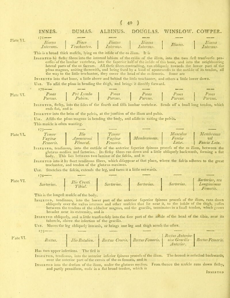 Plate VI. Plate VI. Plate VI. P’ate VI. INNES. 171 Iliacus Interims. DUMAS. ( 40 ) ALBINUS. DOUGLAS. WINSLOW. COWPER. Iliaco Trachanten. Iliacus Interims. Iliacus Interims. Iliacus. Iliacus Interims. This is a broad thick mufcle, lying on the infide of the os ilium. It is Inserted by flefhy fibres into the internal labium of the crifla of the ilium, into the two fir ft tranfverfe pre- cedes of the lumbar vertebrae, into the fuperior half of the infide of this bone, and into the neighbouring lateral parts of the os facrum. AH thefe fibres contracting, run obliquely towards the lower part of the pfoas magnus, uniting therewith, and being fixed by a kind of aponeurofis to the outfide of its tendon, all the way to the little trochanter, they cover the head of the os femoris. Some are Inserted into that bone, a little above and behind the little trochanter, and others a little lower down. Use. To affift the pfoas in bending the thigh, and brings it directly forward. 72— — — — —— — Psoas I Pre Lumbo J Psoas Psoas Psoas Psoas Parvus. Pubien. Parvus. Parvus. Pan-us. Panics Inserted, flefhy, into the tides of the fourth and fifth lumbar vertebrae. Sends off a (mall long tendon, which ends flat, and is Inserted into the brim of the pelvis, at the junction of the ilium and pubis. Use. Aflifts the pfoas magnus in bending the body, and affifis in railing the pelvis. This mufcle is often wanting. 173 Tensor Ilio Tensor Muse ulus Membranus Vagina Aponeurosi Vagina Mcmbranosus. Fascia vel Femoris. Femoral. Femoris. Lata. Fascia Lata. Inserted, tendinous, into the outfide of the anterior fuperior fpinous procefs of the os ilium, between the glutaeus medius and fartorius. Its flefhy fibres run down and a little obliquely backwards, forming a flat body. This lies between two laminae of the fafeia, and is Inserted into it by fliort tendinous fibres, which difappear at that place, where the fafeia adheres to the great trochanter, and tendon of the glutaeus maximus. Use. Stretches the fafeia, extends the leg, and turns it a little outwards. 174 Sartorius. Ilia Cresti Tibia/. Sartorius. Sartorius. Sartorius. Sartorius, seu Longissimus Femoris. This is the longed mufcle of the body. Inserted, tendinous, into the lower part of the anterior fuperior fpinous procefs of the ilium, runs down obliquely over the vafl.us internus and other mufcles that lie near it, to the infide of the thigh, paffes between the tendons of the adduCtor magnus, and the gracilis, terminates in a fmall tendon, which grows broader near its extremity, and is Inserted obliquely, and a little tranfverfely into the fore part of the idfide of the head of the tibia, near its tubercle, above the infertion of the gracilis. Use. Moves the leg obliquely inwards, or brings one leg and thigh acrofs the other. 175 Rectus Anterior Rectus. Ilio Rotulien. Rectus Cruris. Rectus Femoris. sive Gracilis Anterior. Rectus Femoris. Has two upper infertions. The firfi is Inserted, tendinous, into the anterior inferior fpinous procefs of the ilium. The fecond is reflected backwards, over the anterior part of the cervix of the os femoris, and is Inserted into the dorfum of the ilium, under the glutaeus medius. From (hence the mufcle runs down flefhy, and partly penniform, ends in a flat broad tendon, which is Inserted