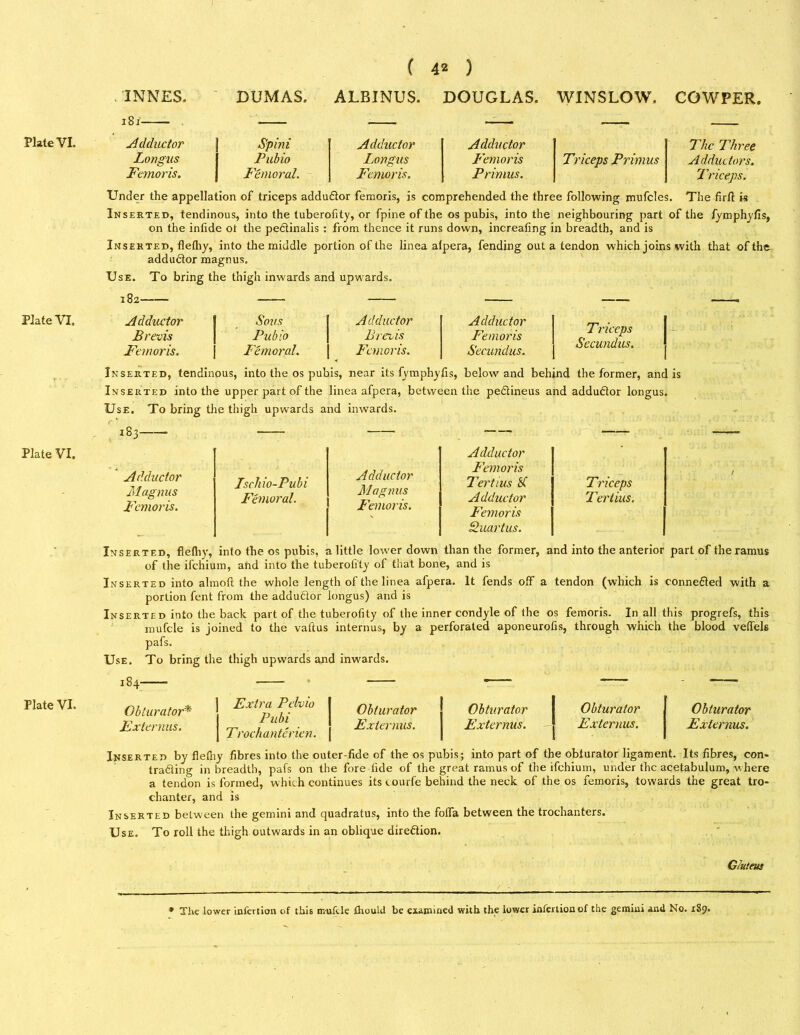 . INNES. DUMAS. ALBINUS. DOUGLAS. WINSLOW, COWPER 181 Plate VI. Adductor S'pini Adductor Adductor 6— The Three Longus Pubio Longus Femoris Triceps Primus Adductors. Femoris. Femoral. Femoris. Primus. Triceps. Under the appellation of triceps addudor femoris, is comprehended the three following mufcles. The firfl: is Inserted, tendinous, into the tuberofity, or fpine of the os pubis, into the neighbouring part of the fymphyfis, on the infide ot the pedinalis : from thence it runs down, increafing in breadth, and is Inserted, flefliy, into the middle portion of the linea alpera, fending out a tendon which joins with that of the addudor magnus. Use. To bring the thigh inwards and upwards. Plate VI. Adductor Sous Adductor Adductor Triceps Secundus. Brevis Pubio Brevis Femoris Femoris. Femoral. Femoris. Secundus. Inserted, tendinous, into the os pubis, near its fymphyfis, below and behind the former, and is Inserted into the upper part of the linea afpera, between the pedineus and addudor longus. Use. To bring the thigh upwards and inwards. 183 — Plate VI. Adductor Magnus Femoris. Ischio-Pubi Femoral. Adductor Magnus Femoris. Adductor Femoris Ter tins Sf Adductor Femoris Quartus. Triceps Ter tius. Plate VI. Inserted, flefliy, into the os pubis, a little lower down than the former, and into the anterior part of the ramus of the ifchium, and into the tuberofity of that bone, and is Inserted into almoft the whole length of the linea afpera. It fends off a tendon (which is conneded with a portion fent from the addudor longus) and is Inserted into the back part of the tuberofity of the inner condyle of the os femoris. In all this progrefs, this mufcle is joined to the vaftus interims, by a perforated aponeurofis, through which the blood velfels pafs. Use. To bring the thigh upwards and invrards. Obturator* Externus. Extra Pelvio Obturator Obturator Obturator Pubi Externus. Externus. — Externus. Trochanterien. Obturator Externus. Inserted by flefliy fibres into the outer-fide of the os pubis; into part of the obturator ligament. Its fibres, con- trading in breadth, pafs on the fore fide of the great ramus of the ifchium, under the acetabulum, where a tendon is formed, which continues its courfe behind the neck of the os femoris, towards the great tro- chanter, and is Inserted between the gemini and quadratus, into the folia between the trochanters. Use. To roll the thigh outwards in an oblique diredion. Gluteus * The lower infertion of this muftle fhould be examined with the lower infertion of the gemini and No. 189.