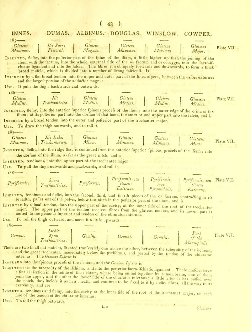 INNES. 185 Gluteus Maximus. DUMAS. ALBINUS. DOUGLAS. WINSLOW. COWPER. Iho Sacro Femoral. Gluteus Magnus. Gluteus Maximus. Gluteus Maximus. Glutceus Major. Inserted, flefhy, into the pofterior part of the fpine of the ilium, a little higher up than the joining of the ilium with the iacrum, into the whole external tide of the os facrum and os coccygis, into llie facro-if- chiatic ligament and into the fafeia. The fibres run obliquely forwards and downwards, to form a thick broad mufcle, which is divided into a number of ftrong fafciculi. Is Inserted by a flat broad tendon into the upper and outer part of the linea afpera, between the vaflus externus and the largeft portion of the adductor magnus. Use. It pulls the thigh backwards and outwa ds. Gluteus llio Gluteus Gluteus Gluteus Glutceus Medius. Trochanterien. Medius. Medius. Ale dins. Medius. Inserted, flefhy, into the anterior fuperior fpinous procefs of the ilium; into the outer edge of the criftaofthe ilium; at its pofterior part into the dorfum of that bone, the anterior and upper part into the fafeia, and i> Inserted by a broad tendon into the outer and pofterior part of the trochanter major. Use. To draw the thigh outwards, and to roll it. 187 Gluteus Ilio Ischii Gluteus Glutens Gluteus Minimus. Trochanterien. Minor. Minimus. Alinimus. G lulceus ■Minor. Inserted, flefliy, into the ridge that is continued from the anterior fuperior fpinous procefs of the ilium • into the dorfum of the ilium, as far as the great nitch, and is Inserted, tendinous, into the upper part of the trochanter major Use. To pull the thigh outw’ards and backwards, and roll it. 188 Pyrformis. Sacro Trochanterien. Pyriformis. Pyriformis, sen fliacus Externus. Pyriformis, slue Pyramidalis. Pyrformis, seu 1ha cut Externus. its Inserted, tendinous and flefliy, into the fecond, third, and fourth pieces of the os facrum, contracting in breadth, pafles out ot the pelvis, below the nitch in the pofterior part of the ilium, and is Inserted by a (mall tendon, into the upper part of the cavity, at the inner fide of the root of the trochanter major. The upper part of this tendon receives fibres from the gluteus medius, and its lower nan is united to tne geminus fuperior and tendon of the obturator internus. * Use. To roll the thigh outward, and move it a little upwards. 189 Jschio — — — Gemini. Spim Gemini. Gemini. G: milii. Trochanterien. Part cf the Marsupial's. Thefe are two fmall flat mufcles, fituated tranfverfely one above the other, between the tuberofitv of the ilchium and the great trochanter immediately below the pyriformis, and parted by the tendon of the obturate internus. The Geminus Superior is Inserted into the fpinous procefs of the ifehium, and the Geminus Inferior is Inserted in. » the tuberofity of the ifehium, and into the pofterior facro-ifchiatic ligament Thefe mufcles have a fmall mfertion m the infide of the ifehium, where being united together by a membrane, one of then joins tne upper, and the other the lower fide of the obturator internus: a little after it has railed m, , the notch, they inclole it as m a lheath, and continue to be fixed to it bv fiefliv fibres, all the wav to ii ■ extremity, and are J  ’ ‘v 10 us Inserted, tendinous and flefliy, into the cavity at the inner fide of the root of the trochanter major on each fide ot the tendon of the obturator Inw.i. J ’ <u-a Use. To roll the thigh outwards. L 2 ObtUrat Plitc VII. Plate VII. Plate VII. Plate VII. Plate VII.