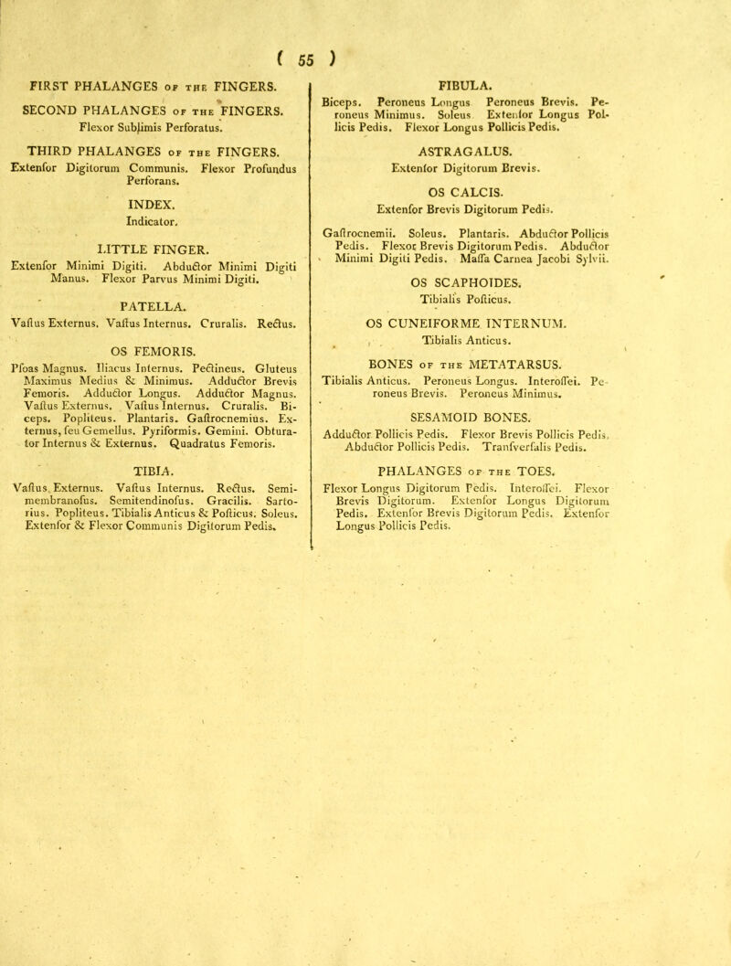 FIRST PHALANGES of the FINGERS. SECOND PHALANGES of the FINGERS. Flexor Subjimis Perforatus. THIRD PHALANGES of the FINGERS. Extenfor Digitorum Communis. Flexor Profundus Perforans. INDEX. Indicator. LITTLE FINGER. Extenfor Minimi Digiti. Abdudtor Minimi Digiti Manus. Flexor Parvus Minimi Digiti. PATELLA. Vaftus Externus. Vaftus Internus. Cruralis. Re6tus. OS FEMORIS. Pfoas Magnus. Iliacus Internus. Pectineus. Gluteus Maximus Medius & Minimus. Adductor Brevis Femoris. Addudtor Longus. Adductor Magnus. Vaftus Externus. Vatlus Internus. Cruralis. Bi- ceps. Popliteus. Plantaris. Gaftrocnemius. Ex- ternus, feu Gemellus. Pyriformis. Gemini. Obtura- tor Internus & Externus. Quadratus Femoris. TIBIA. Vaftus Externus. Vaftus Internus. Re<5tus. Semi- membranofus. Semitendinofus. Gracilis. Sarto- rius. Popliteus. Tibialis Anticus & Pofticus. Soleus. Extenfor & Flexor Communis Digitorum Pedis. FIBULA. Biceps. Peroneus Longus Peroneus Brevis. Pe- roneus Minimus. Soleus Extenlor Longus Pol- licis Pedis. Flexor Longus Pollicis Pedis. ASTRAGALUS. Extenlor Digitorum Brevis. OS CALCIS. Extenfor Brevis Digitorum Pedis. Gaftrocnemii. Soleus. Plantaris. Abdufior Pollicis Pedis. Flexor Brevis Digitorum Pedis. Abdu<5tor Minimi Digiti Pedis. Maffa Carnea Jacobi Sylvii. OS SCAPHOTDES. Tibialis Pofticus. OS CUNEIFORME INTERNUM. Tibialis Anticus. BONES of the METATARSUS. Tibialis Anticus. Peroneus Longus. Interoftei. Pe roneus Brevis. Peroneus Minimus. SESAMOID BONES. Adduftor Pollicis Pedis. Flexor Brevis Pollicis Pedis Abductor Pollicis Pedis. Tranfverfalis Pedis. PHALANGES of the TOES. Flexor Longus Digitorum Pedis. InteroHei. Flexor Brevis Digitorum. Extenfor Longus Digitorum Pedis. Extenfor Brevis Digitorum Pedis. Extenfor Longus Pollicis Pedis.
