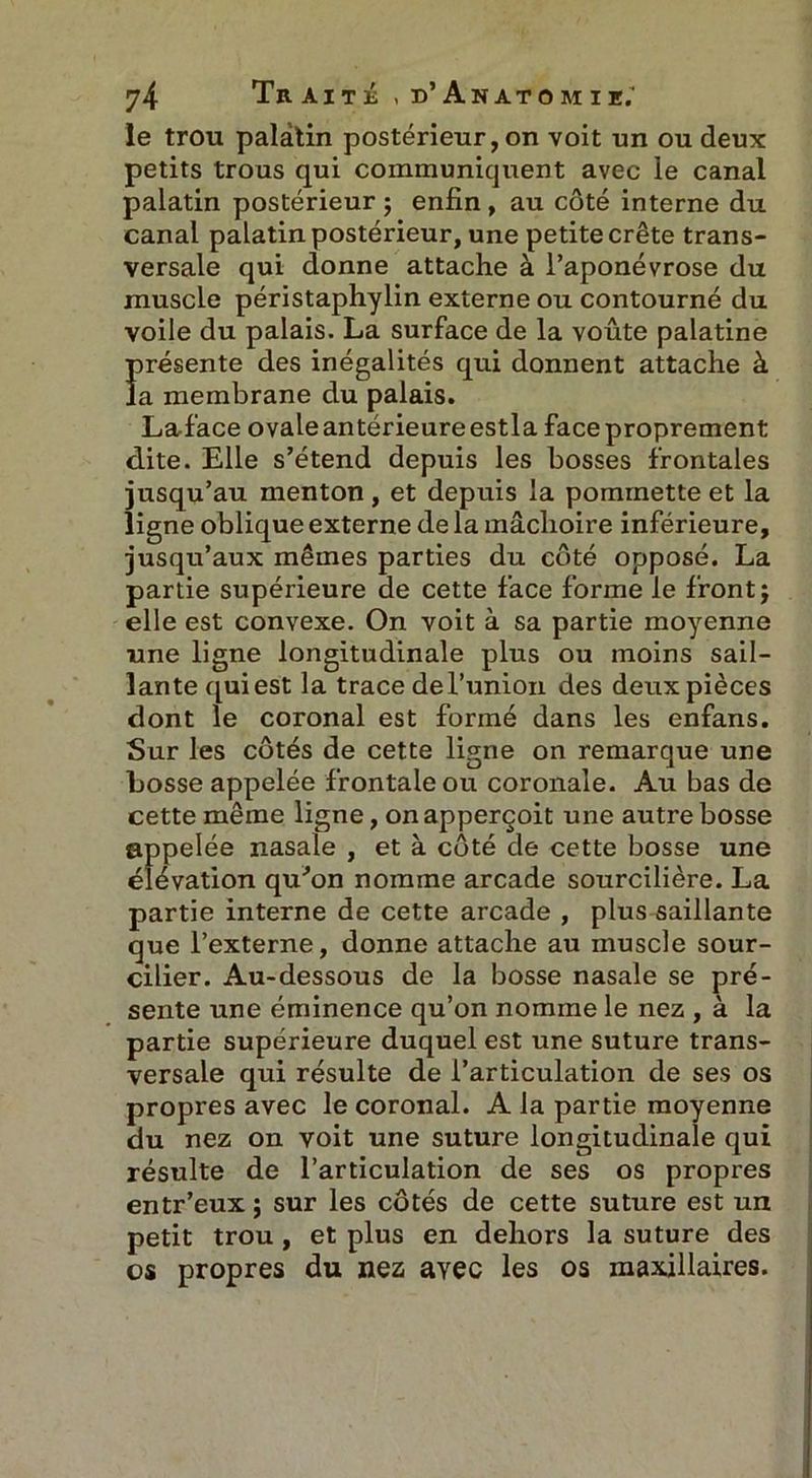 le trou palatin postérieur, on voit un ou deux petits trous qui communiquent avec le canal palatin postérieur ; enfin , au côté interne du canal palatin postérieur, une petite crête trans- versale qui donne attache à l’aponévrose du muscle péristaphylin externe ou contourné du voile du palais. La surface de la voûte palatine présente des inégalités qui donnent attache à la membrane du palais. Laface ovale antérieure estla face proprement dite. Elle s’étend depuis les bosses frontales jusqu’au menton , et depuis la pommette et la ligne oblique externe de la mâchoire inférieure, jusqu’aux mêmes parties du côté opposé. La partie supérieure de cette face forme le front j elle est convexe. On voit à sa partie moyenne une ligne longitudinale plus ou moins sail- lante qui est la trace del’union des deux pièces dont le coronal est formé dans les enfans. Sur les côtés de cette ligne on remarque une bosse appelée frontale ou coronale. Au bas de cette même ligne, onapperçoit une autre bosse appelée nasale , et à côté de cette bosse une élévation qu’on nomme arcade sourcilière. La partie interne de cette arcade , plus saillante que l’externe, donne attache au muscle sour- cilier. Au-dessous de la bosse nasale se pré- sente une éminence qu’on nomme le nez , à la partie supérieure duquel est une suture trans- versale qui résulte de l’articulation de ses os propres avec le coronal. A la partie moyenne du nez on voit une suture longitudinale qui résulte de l’articulation de ses os propres entr’eux ; sur les côtés de cette suture est un petit trou, et plus en dehors la suture des os propres du nez ayec les os maxillaires.