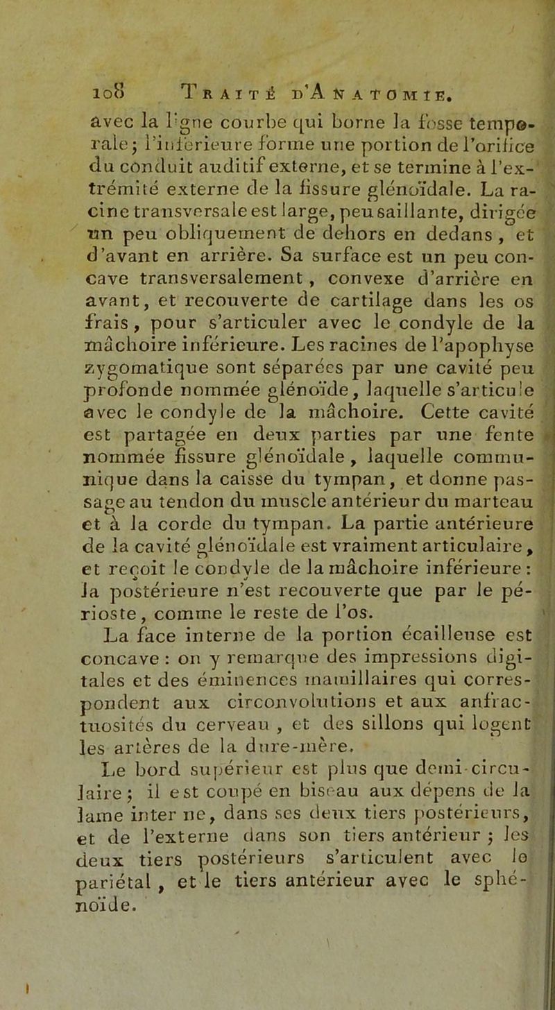 avec la l'gne courbe qui borne la fosse tempo- rale j l'inférieure formé une portion de l’orifice du conduit auditif externe, et se termine à l’ex- trémité externe de la fissure glénoïdale. La ra- cine transversale est large, peusaillante, dirigée un peu obliquement de dehors en dedans , et d’avant en arrière. Sa surface est un peu con- cave transversalement , convexe d’arricre en avant, et recouverte de cartilage dans les os frais , pour s’articuler avec le condyle de la mâchoire inférieure. Les racines de l’apophyse zygomatique sont séparées par une cavité peu profonde nommée glénoïde, laquelle s’articule avec le condyle de la mâchoire. Cette cavité est partagée en deux parties par une fente nommée fissure glénoïdale, laquelle commu- nique dans la caisse du tympan, et donne pas- sage au tendon du muscle antérieur du marteau et à la corde du tympan. La partie antérieure de la cavité glénoïdale est vraiment articulaire, et reçoit le condvle de la mâchoire inférieure: ^ j Ja postérieure n’est recouverte que par le pé- rioste, comme le reste de l’os. La face interne de la portion écailleuse est concave : on y remarque des impressions digi- tales et des éminences mamillaires qui corres- pondent aux circonvolutions et aux anfrac- tuosités du cerveau , et des sillons qui logent les artères de la dure-mère. Le bord supérieur est plus que demi circu- laire; il est coupé en biseau aux dépens de la lame inter ne, dans ses deux tiers postérieurs, et de l’externe dans son tiers antérieur ; les deux tiers postérieurs s’articulent avec le pariétal , et le tiers antérieur avec le sphé- noïde.