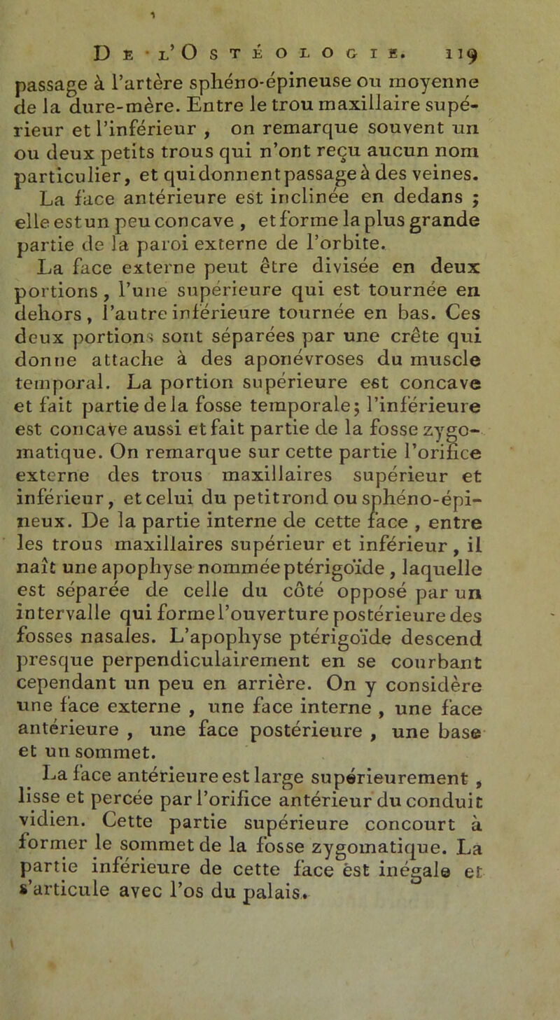 passage à l’artère sphéno-épineuse ou moyenne de la dure-mère. Entre le trou maxillaire supé- rieur et l’inférieur , on remarque souvent un ou deux petits trous qui n’ont reçu aucun nom particulier, et quidonnentpassageà des veines. La face antérieure est inclinée en dedans ; elle estun peu concave , et forme la plus grande partie de la paroi externe de l’orbite. La face externe peut être divisée en deux portions , l’une supérieure qui est tournée en dehors, l’autre inférieure tournée en bas. Ces deux portions sont séparées par une crête qui donne attache à des aponévroses du muscle temporal. La portion supérieure est concave et fait partie de la fosse temporale 5 l’inférieure est concaVe aussi et fait partie de la fosse zygo- matique. On remarque sur cette partie l’orifice externe des trous maxillaires supérieur et inférieur, etcelui du petitrond ou sphéno-épi- neux. De la partie interne de cette face , entre les trous maxillaires supérieur et inférieur, il naît une apophyse nommée ptérigoïde , laquelle est séparée de celle du côté opposé par un intervalle qui formel’ouverture postérieure des fosses nasales. L’apophyse ptérigoïde descend presque perpendiculairement en se courbant cependant un peu en arrière. On y considère une face externe , une face interne , une face antérieure , une face postérieure , une base et un sommet. La face antérieure est large supérieurement , lisse et percée par l’orifice antérieur du conduit vidien. Cette partie supérieure concourt à former le sommet de la fosse zygomatique. La partie inférieure de cette face est inégale et s’articule avec l’os du palais.