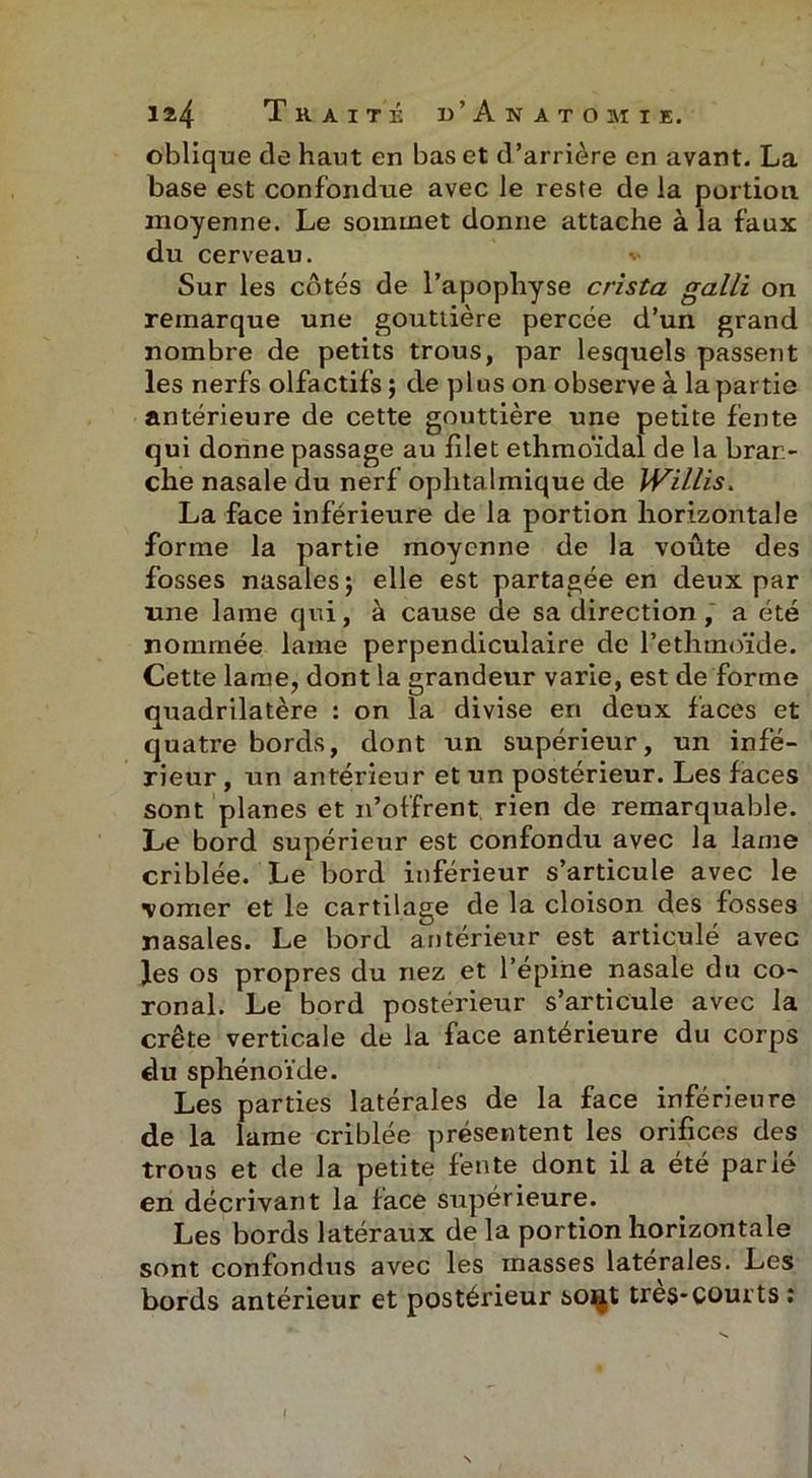 oblique de haut en bas et d'arrière en avant. La base est confondue avec le reste de la portion moyenne. Le sommet donne attache à la faux du cerveau. *> Sur les côtés de l’apophyse crista galli on remarque une gouttière percée d’un grand nombre de petits trous, par lesquels passent les nerfs olfactifs ; de plus on observe à la partie antérieure de cette gouttière une petite fente qui donne passage au filet ethmoïdal de la bran- che nasale du nerf ophtalmique de Willis. La face inférieure de la portion horizontale forme la partie moyenne de la voûte des fosses nasales 5 elle est partagée en deux par une lame qui, à cause de sa direction, a été nommée lame perpendiculaire de l’ethmoïde. Cette lame, dont la grandeur varie, est de forme quadrilatère : on la divise en deux faces et quatre bords, dont un supérieur, un infé- rieur , un antérieur et un postérieur. Les faces sont planes et n’offrent rien de remarquable. Le bord supérieur est confondu avec la lame criblée. Le bord inférieur s’articule avec le 'vomer et le cartilage de la cloison des fosses nasales. Le bord antérieur est articulé avec }es os propres du nez et l’épine nasale du co- ronal. Le bord postérieur s’articule avec la crête verticale de la face antérieure du corps du sphénoïde. Les parties latérales de la face inférieure de la lame criblée présentent les orifices des trous et de la petite fente dont il a été parié en décrivant la face supérieure. Les bords latéraux de la portion horizontale sont confondus avec les masses latérales. Les bords antérieur et postérieur so^t très-courts: