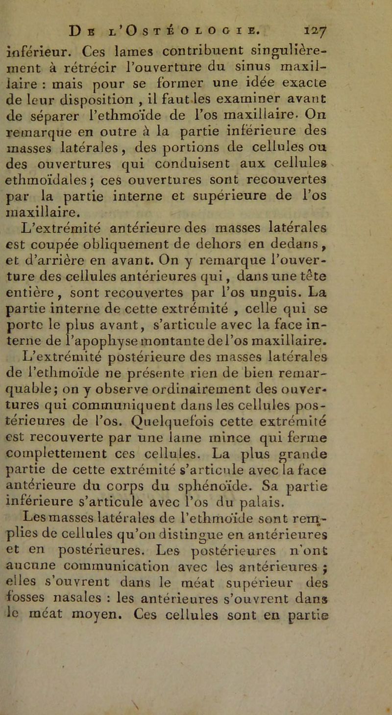inférieur. Ces lames contribuent singulière- ment à rétrécir l’ouverture du sinus maxil- laire : mais pour se former une idée exacte de leur disposition , il faut les examiner avant de séparer l’ethmoïde de l’os maxillaire. On remarque en outre à la partie inférieure des masses latérales, des portions de cellules ou des ouvertures qui conduisent aux cellules ethmoïdales ; ces ouvertures sont recouvertes par la partie interne et supérieure de l’os maxillaire. L’extrémité antérieure des masses latérales est coupée obliquement de dehors en dedans, et d’arrière en avant. On y remarque l’ouver- ture des cellules antérieures qui, dans une tête entière, sont recouvertes par l’os unguis. La partie interne de cette extrémité , celle qui se porte le plus avant, s’articule avec la face in- terne de l’apophyse montante de l’os maxillaire. L’extrémité postérieure des masses latérales de l’ethmoïde ne présente rien de bien remar- quable; on y observe ordinairement des ouver- tures qui communiquent dans les cellules pos- térieures de l’os. Quelquefois cette extrémité est recouverte par une lame mince qui ferme complettement ces cellules. La plus grande partie de cette extrémité s’articule avec la face antérieure du corps du sphénoïde. Sa partie inférieure s’articule avec l’os du palais. Les masses latérales de l’ethmoïde sont rem- plies de cellules qu’on distingue en antérieures et en postérieures. Les postérieures n’ont aucune communication avec les antérieures ; elles s’ouvrent dans le méat supérieur des fosses nasales : les antérieures s’ouvrent dans le méat moyen. Ces cellules sont en partie