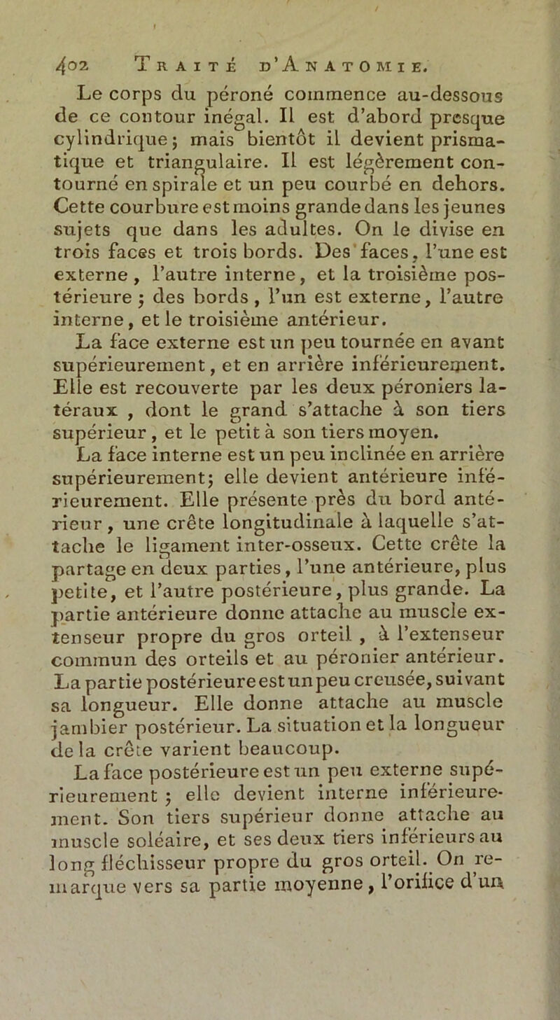 Le corps du péroné commence au-dessous de ce contour inégal. Il est d’abord presque cylindrique; mais bientôt il devient prisma- tique et triangulaire. Il est légèrement con- tourné en spirale et un peu courbé en dehors. Cette courbure est moins grande dans les jeunes sujets que dans les adultes. On le divise en trois faces et trois bords. Des faces, l’une est externe , l’autre interne, et la troisième pos- térieure ; des bords , l’un est externe, l’autre interne, et le troisième antérieur. La face externe est un peu tournée en avant supérieurement, et en arrière inférieureinent. Elle est recouverte par les deux péroniers la- téraux , dont le grand s’attache à son tiers supérieur , et le petit à son tiers moyen. La face interne est un peu inclinée en arrière supérieurement; elle devient antérieure infé- rieurement. Elle présente près du bord anté- rieur , une crête longitudinale à laquelle s’at- tache le ligament inter-osseux. Cette crête la partage en deux parties, l’une antérieure, plus petite, et l’autre postérieure, plus grande. La partie antérieure donne attache au muscle ex- tenseur propre du gros orteil , à l’extenseur commun des orteils et au péronier anterieur. La partie postérieureestunpeu creusée, suivant sa longueur. Elle donne attache au muscle jambier postérieur. La situation et la longueur de la crête varient beaucoup. La face postérieure est un peu externe supé- rieurement ; elle devient interne inférieure- ment. Son tiers supérieur donne attache au muscle soléaire, et ses deux tiers inférieurs au long fléchisseur propre du gros orteil. On re- marque vers sa partie moyenne} l’orifice d un