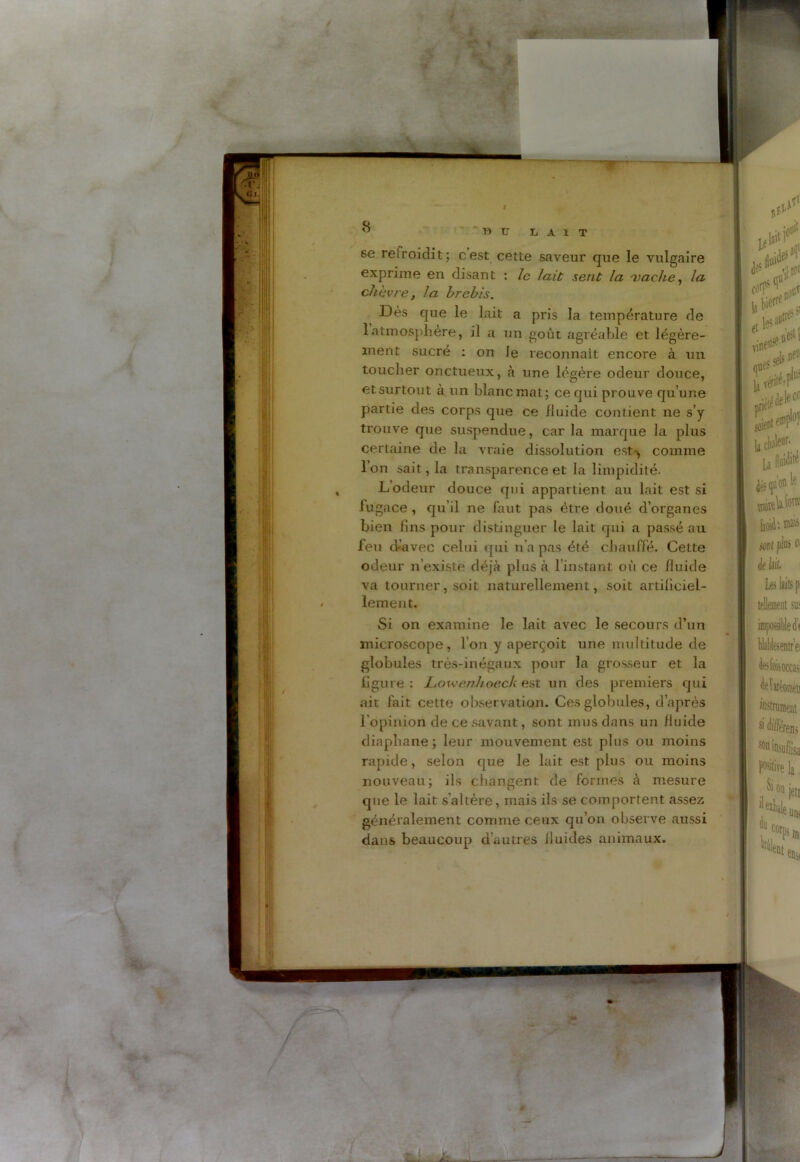 As « - B U LAIT se relroidit; cest cetle saveur que le vulgaire exprime en disant : le lait sent la 'vache, la chèvre, la brebis. Dès que le lait a pris la température de 1 atmosphère, il a un goût agréable et légère- ment sucré : on le reconnaît encore à un toucher onctueux, à une légère odeur douce, et surtout à un blanc mat; ce qui prouve qu’une partie des corps que ce fluide contient ne s’y trouve que suspendue, car la marque la plus certaine de la vraie dissolution est-, comme l’on sait, la transparence et la limpidité. L odeur douce qui appartient au lait est si fugace , qu’il ne faut pas être doué d’organes bien lins pour distinguer le lait qui a passé au feu d*’avec celui qui n’a pas été chauffé. Cette odeur n’existe déjà plus à 1 instant où ce fluide va tourner, soit naturellement, soit artificiel- lement. Si on examine le lait avec le secours d’un microscope, Ion y aperçoit une multitude de globules très-inégaux pour la grosseur et la figure : Lowenhoeck est un des premiers qui ait fait cette observation. Ces globules, d’après l’opinion de ce savant, sont mus dans un fluide diaphane; leur mouvement est plus ou moins rapide, selon que le lait est plus ou moins nouveau; ils changent de formes à mesure que le lait s’altère, mais ils se comportent assez généralement comme ceux qu’on observe aussi dans beaucoup d’autres lluides animaux. J