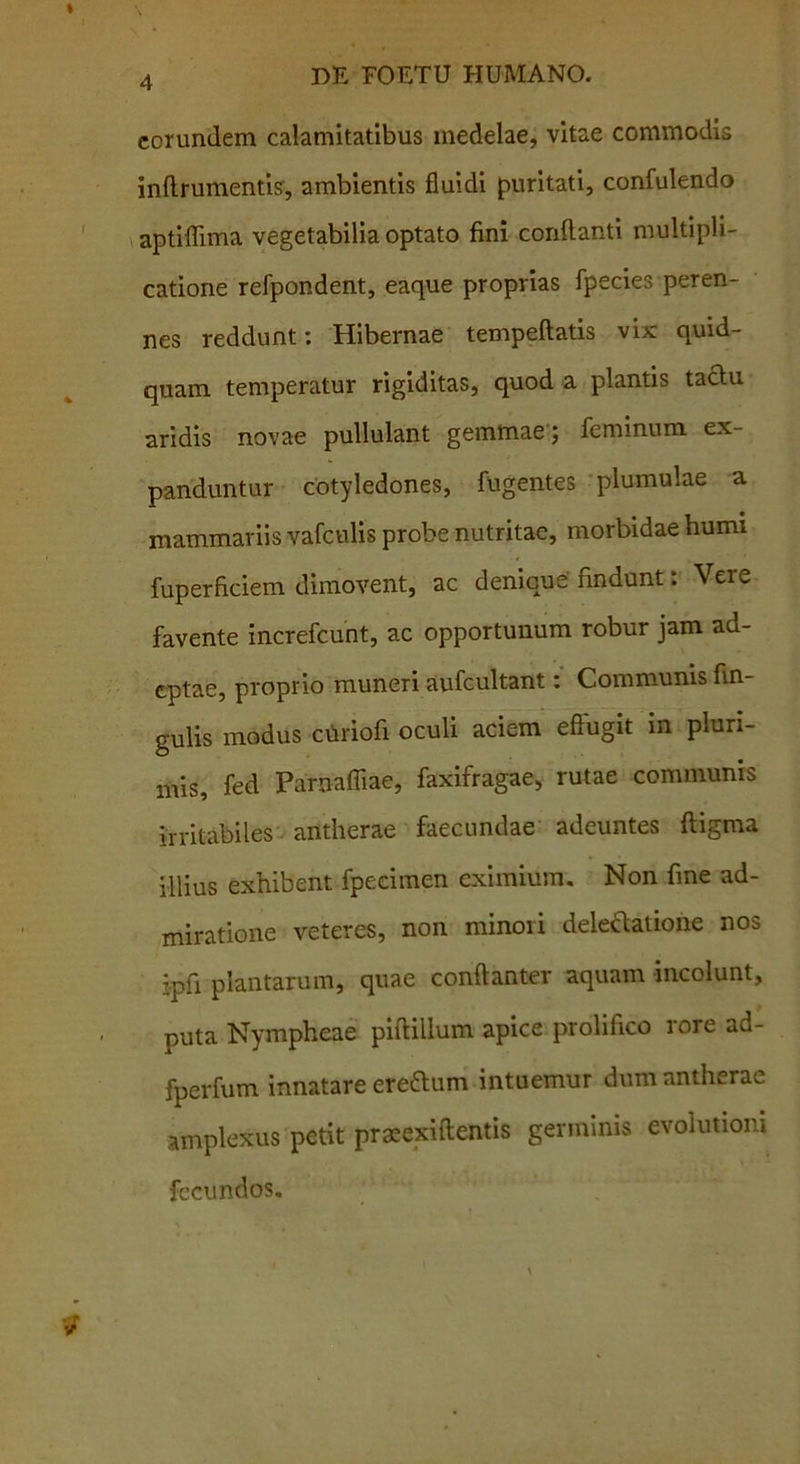 eorundem calamitatibus medelae, vitae commodis inftrumentte, ambientis fluidi puritati, confulendo aptiflima vegetabilia optato fini conflanti multipli- catione refpondent, eaque proprias fpecies peren- nes reddunt: Hibernae tempeftatis vix quid- quam temperatur rigiditas, quod a plantis tactu aridis novae pullulant gemmae; feminum ex- panduntur cotyledones, fugentes plumulae a mammariis vafculis probe nutritae, morbidae humi fuperficiem dimovent, ac denique nndunt. Veie favente increfcunt, ac opportunum robur jam ad- eptae, proprio muneri aufcultant: Communis An- gulis modus cilriofi oculi aciem eftugit m pluri- mis, fed Paroafliae, faxifragae, rutae communis irritabiles' antlierae faecundae adeuntes ftigma illius exhibent fpecimen eximium. Non fine ad- miratione veteres, non minori deledatione nos j.pfi plantarum, quae conftanter aquam incolunt, puta Nympheae piftillum apice prolifico rore ad- fperfum innatare eredum intuemur dum antherae amplexus petit praeexiftentis germinis evolutioni fecundos.