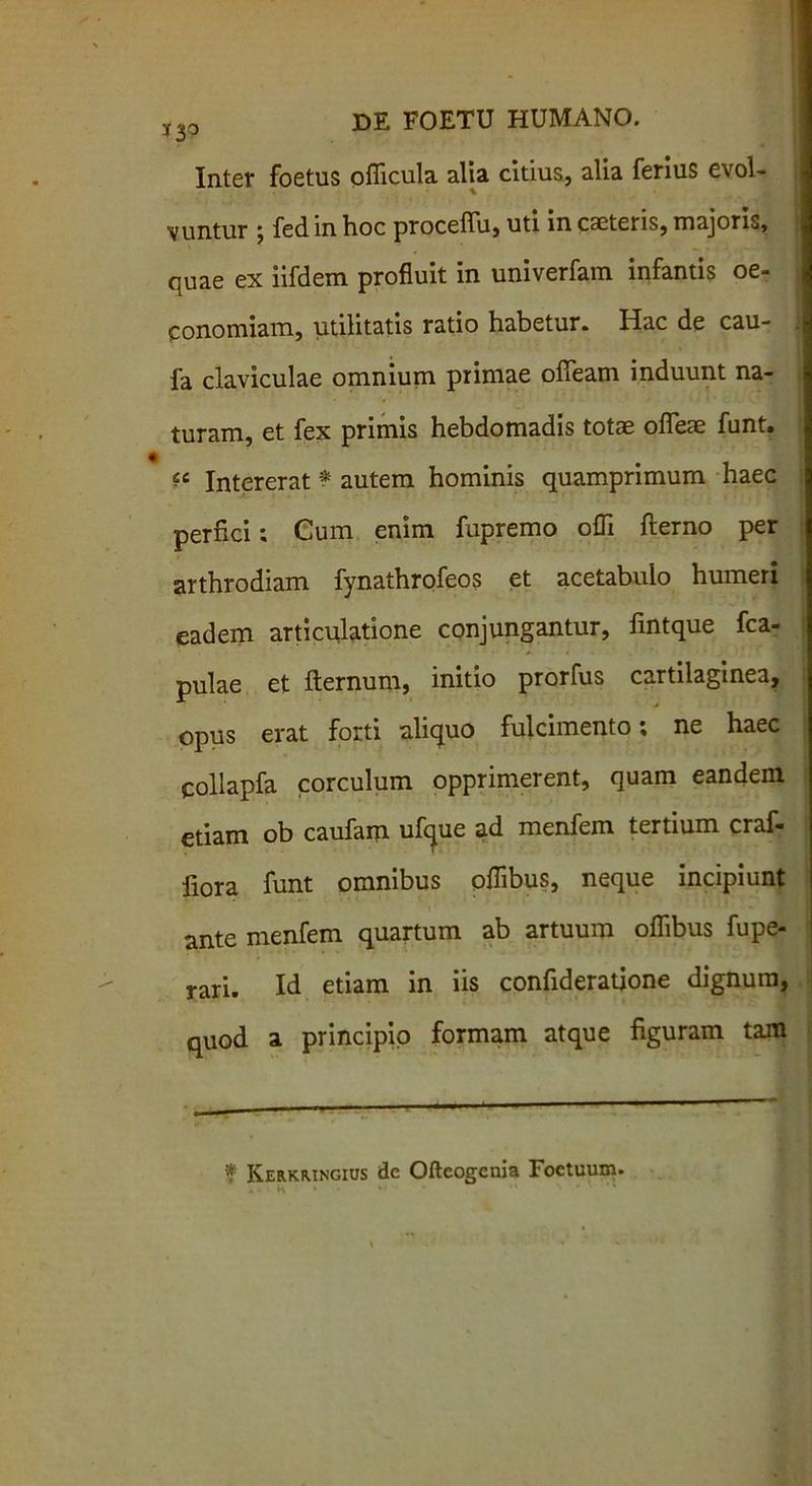 Inter foetus officula alia citius, alia ferius evol- vuntur ; fed in hoc procefiii, uti in caeteris, majoris, quae ex iifdem profluit in univerfam infantis oe- conomiam, utilitatis ratio habetur. Hac de cau- fa claviculae omnium primae ofleam induunt na- turam, et fex primis hebdomadis totae ofleae funt. Intererat * autem hominis quamprimum haec perfici; Cum enim fupremo offi fterno per arthrodiam fynathrofeos et acetabulo humeri eadem articulatione conjungantur, fintque fca- pulae et fternum, initio prorfus cartilaginea, opus erat forti aliquo fulcimento; ne haec qollapfa corculum opprimerent, quam eandem etiam ob caufam ufque ad menfem tertium craf- fiora funt omnibus oflibus, neque incipiunt ante menfem quartum ab artuum oflibus fupe- rari. Id etiam in iis confideratione dignum, quod a principio formam atque figuram tam * Kerkmngius de Ofteogenia Foetumn.