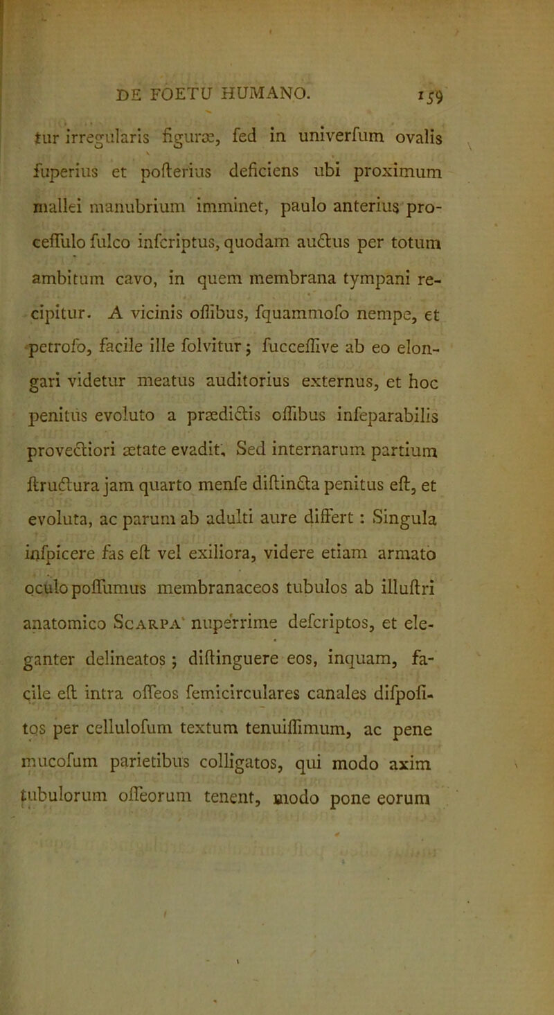 9 tur irregularis figurae, fed in univerfum ovalis \ . fuperius et pofterius deficiens ubi proximum mallei manubrium imminet, paulo anterius pro- cefTulo fulco infcriptus, quodam audtus per totum ambitum cavo, in quem membrana tympani re- cipitur. A vicinis oflibus, fquammofo nempe, et petrofo, facile ille folvitur; fucceffive ab eo elon- gari videtur meatus auditorius externus, et hoc penitus evoluto a prsedi&is oflibus infeparabilis prove&iori aetate evadit. Sed internarum partium ftrudtura jam quarto menfe diftin&a penitus eft, et evoluta, ac parum ab adulti aure differt: Singula infpicere fas effc vel exiliora, videre etiam armato oculo pofTumus membranaceos tubulos ab illuflri anatomico Scarpa' nuperrime defcriptos, et ele- ganter delineatos; diffinguere eos, inquam, fa- cile eft intra offeos femicirculares canales difpofl- tos per cellulofum textum tenuiflimum, ac pene mucofum parietibus colligatos, qui modo axim tubulorum odeorum tenent, snodo pone eorum