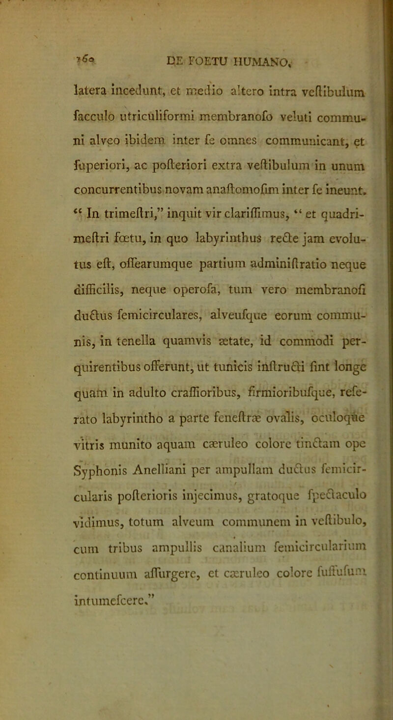 latera incedunt, et medio altero intra vertibulum facculo utriculiformi membranofo veluti commu- ni alveo ibidem inter fe omnes communicant, et fuperiori, ac pofteriori extra vertibulum in unum concurrentibus novam anaftomofim inter fe ineunt. <e In trimeftri,” inquit vir clarirtimus, “ et quadri- meftri foetu, in quo labyrinthus re£te jam evolu- tus eft, offearumque partium adminirtratio neque difficilis, neque operofa, tum vero membranofi du&us femicirculares, alvefufque eorum commu- nis, in tenella quamvis aetate, id commodi per- quirentibus offerunt, ut tunicis inftructi fint longe quam in adulto craffioribus, firmioribufque, refe- rato labyrintho a parte feneftrae ovalis, oculoque vitris munito aquam caeruleo colore tin&am ope Syphonis Anelliani per ampullam duiffus femicir- cularis pofterioris injecimus, gratoque fpe&aculo vidimus, totum alveum communem in vertibulo, « cum tribus ampullis canalium feinicircularium continuum affurgerc, et caeruleo colore fuftufum intuinefcere,”