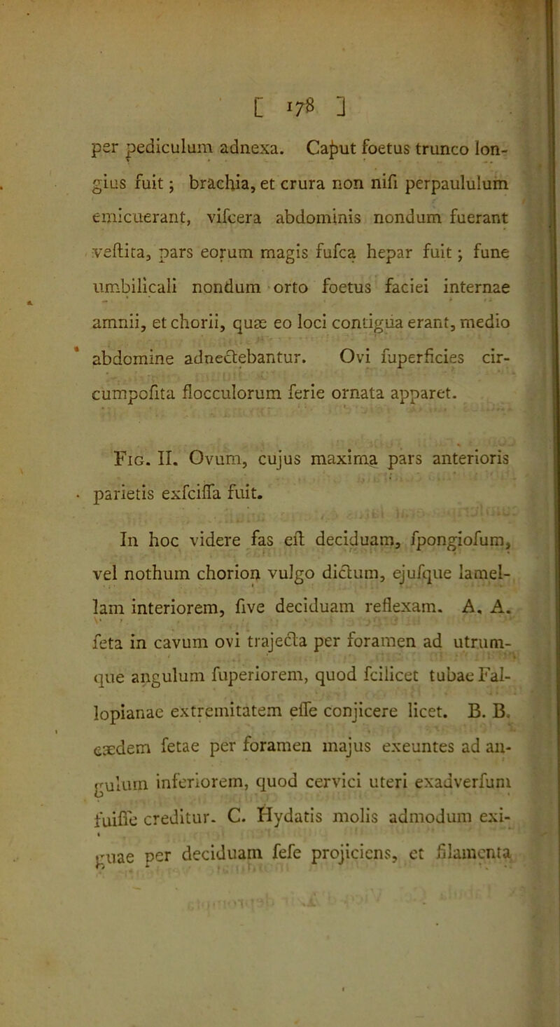 [ l7$ ] per pediculum adnexa. Ca^ut foetus trunco lon- gius fuit; brachia, et crura non nifi perpaululum emicuerant, vifcera abdominis nondum fuerant veftita, pars eorum magis fufca hepar fuit; fune umbilicali nondum orto foetus faciei internae amnii, et chorii, quae eo loci contigua erant, medio abdomine adnectebantur. Ovi fuperficies cir- cumpofita flocculorum ferie ornata apparet. Fig. II. Ovum, cujus maxima pars anterioris • parietis exfcifia fuit. In hoc videre fas qft deciduam, fpongiofum, vel nothum chorion vulgo dictum, ejufque lamel- lam interiorem, five deciduam reflexam. A. A. feta in cavum ovi trajecta per foramen ad utrum- que angulum fuperiorem, quod fcilicet tubae Fal- lopianae extremitatem eile conjicere licet. B. B, egedem fetae per foramen majus exeuntes ad an- guium inferiorem, quod cervici uteri exadverfum fuifie creditur- C. Hydatis molis admodum exi- » guae per deciduam fefe projiciens, et filamenta